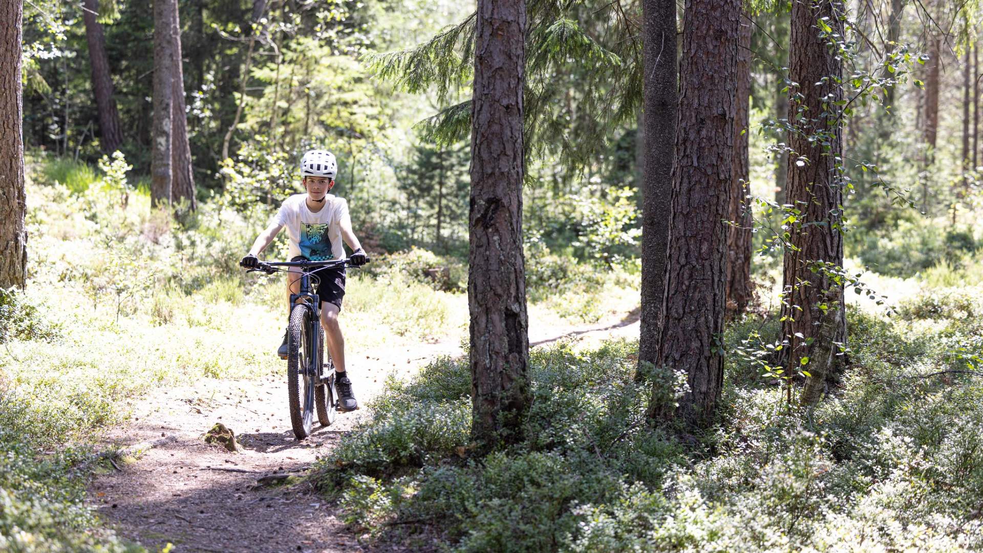 Sykkel i skogen