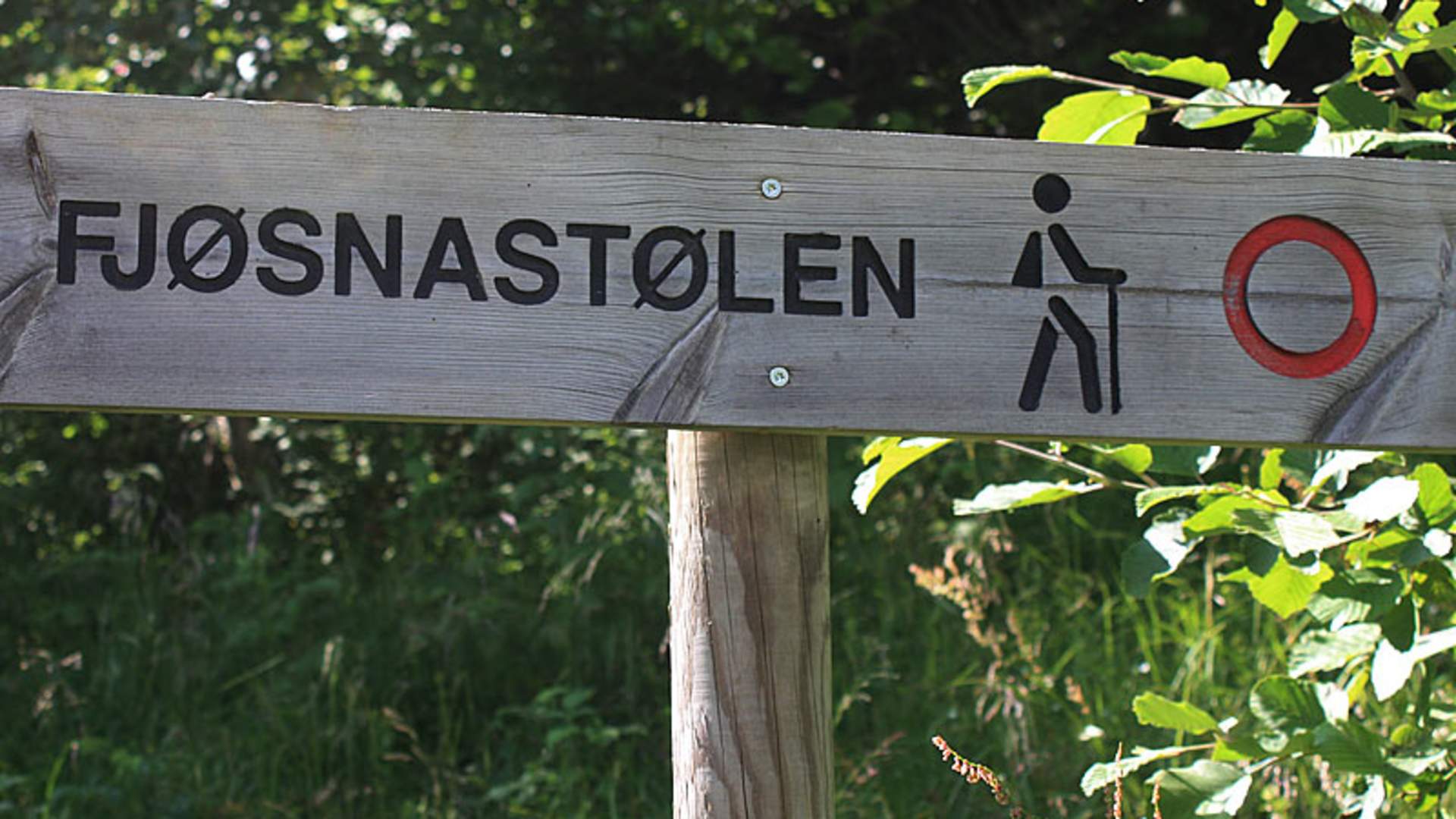 Fjøsnastølen