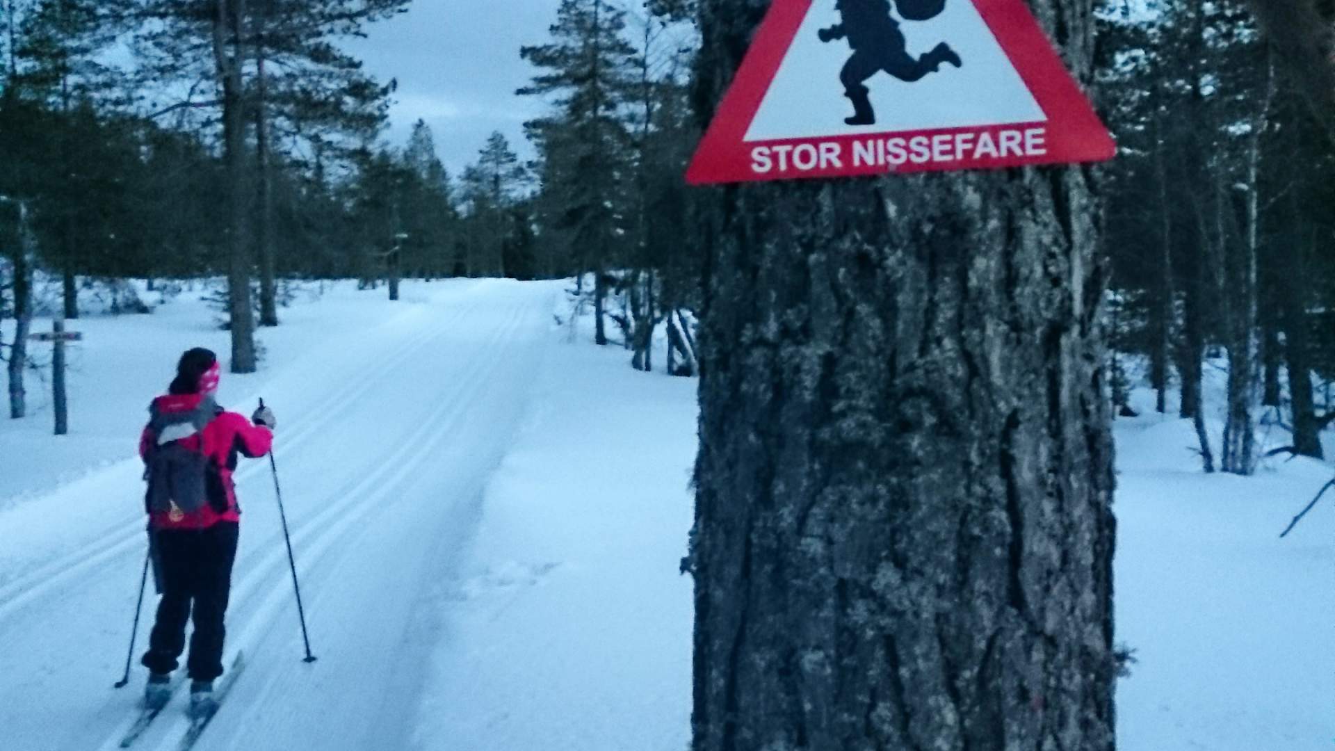 Stor nissefare på Blåenga!