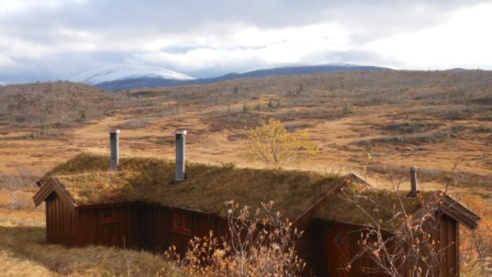 Lågvassbu