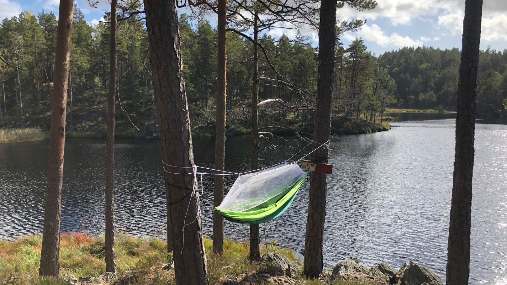 Fjella