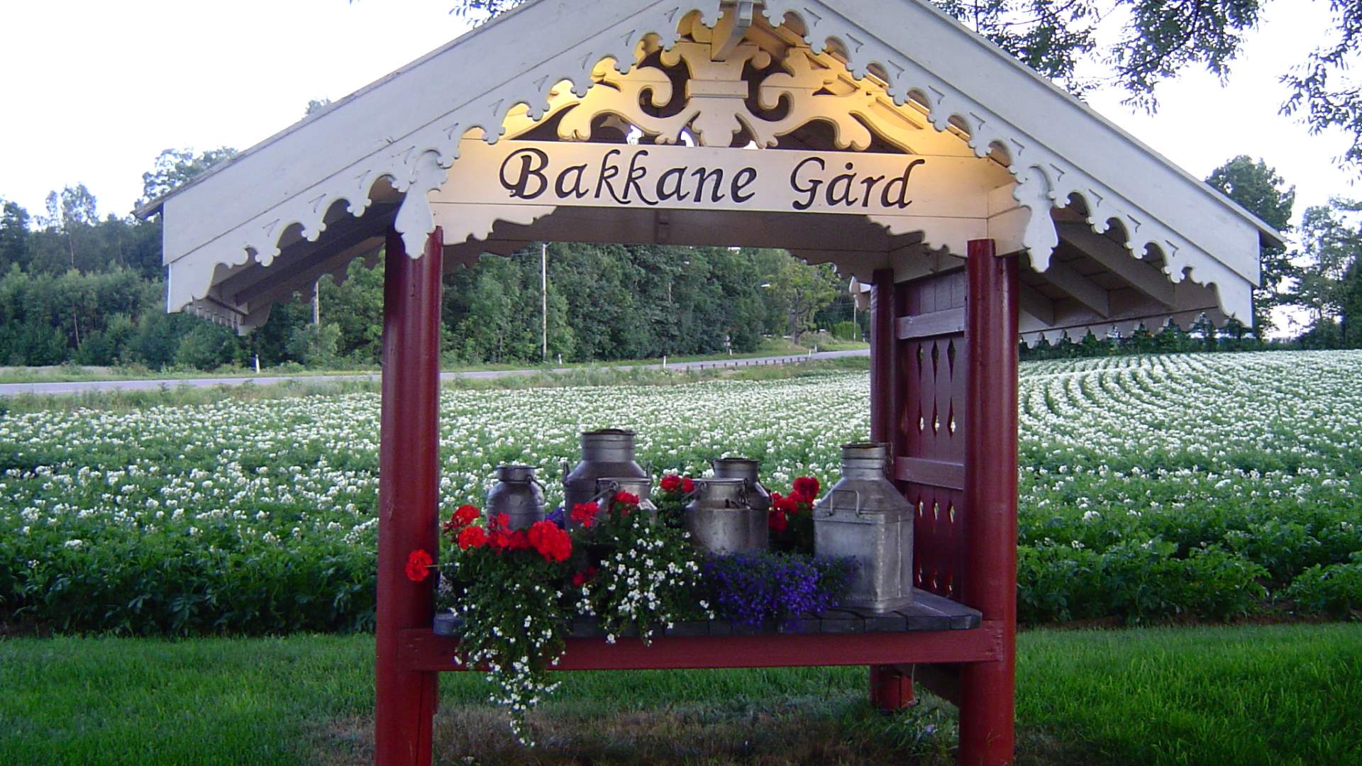 Bakkane gård