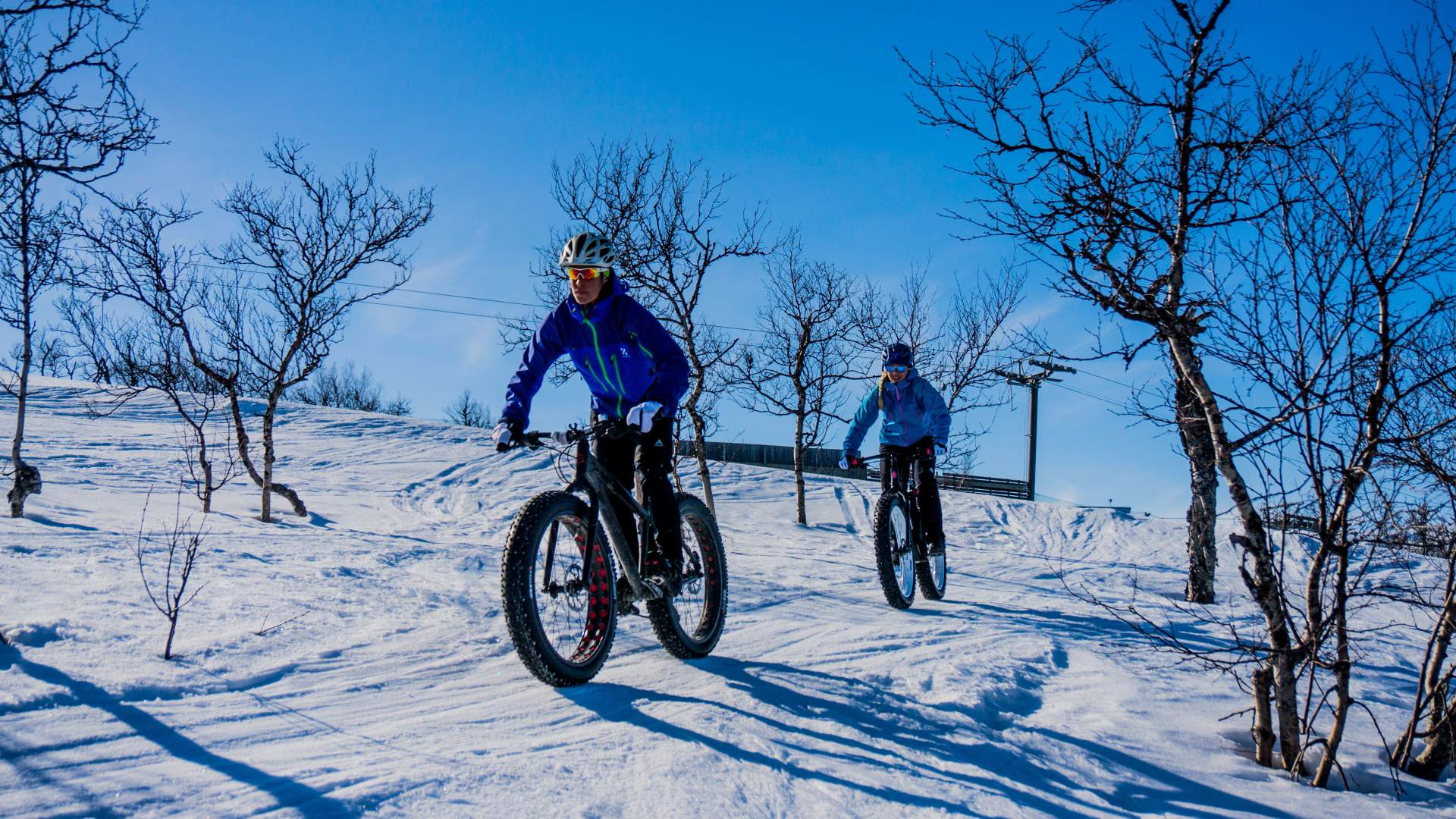 fatbike