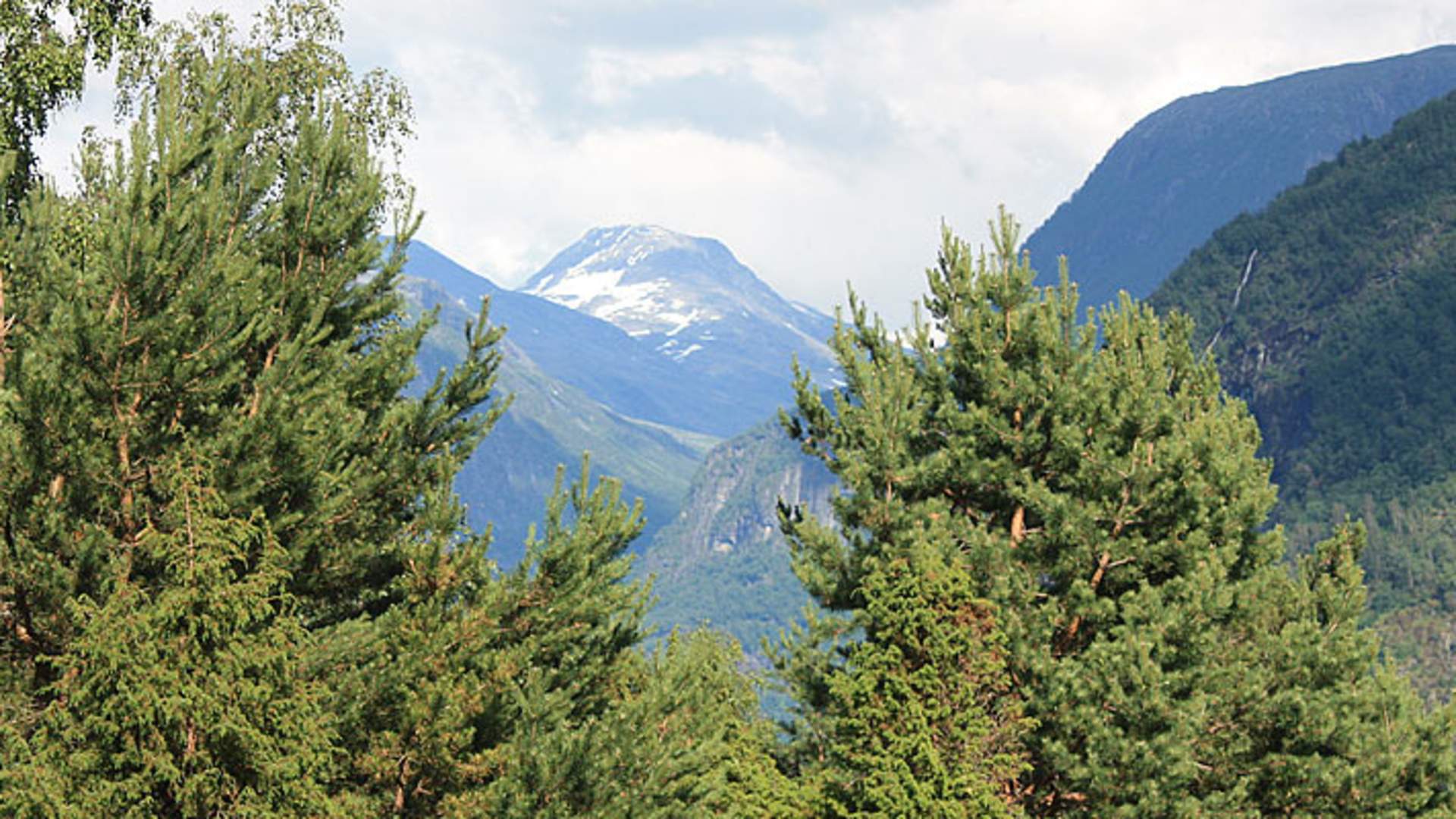 Fjøsnastølen
