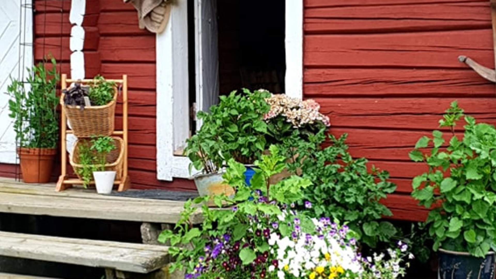 Rødt stabbur