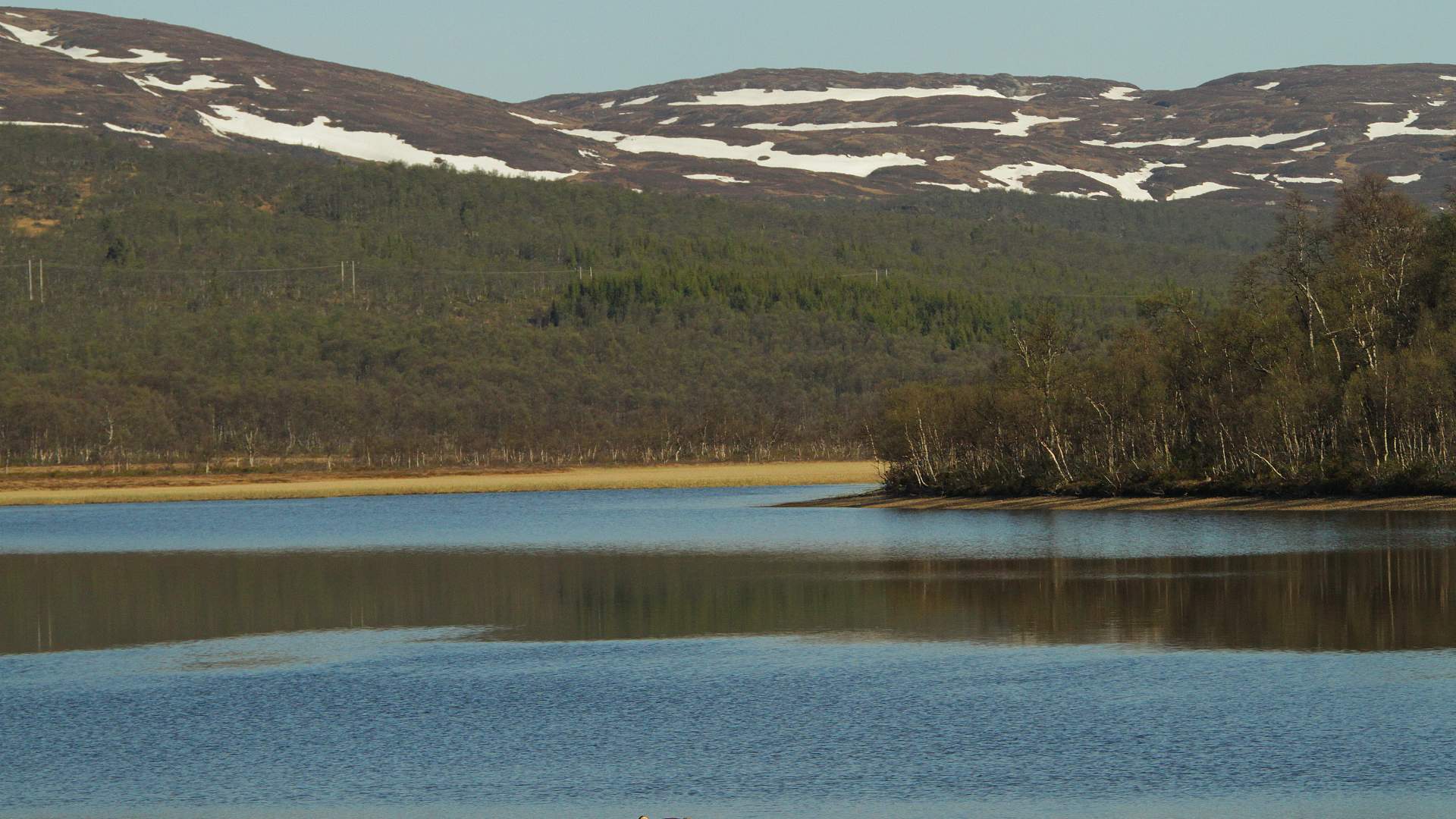 Molinga Naturreservat