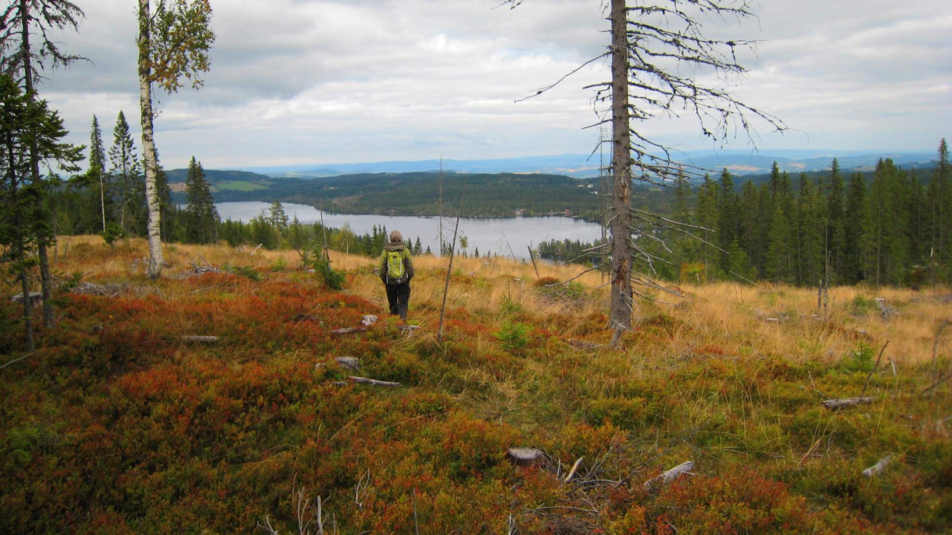 Vardalsåsen - foto Lasse Stang