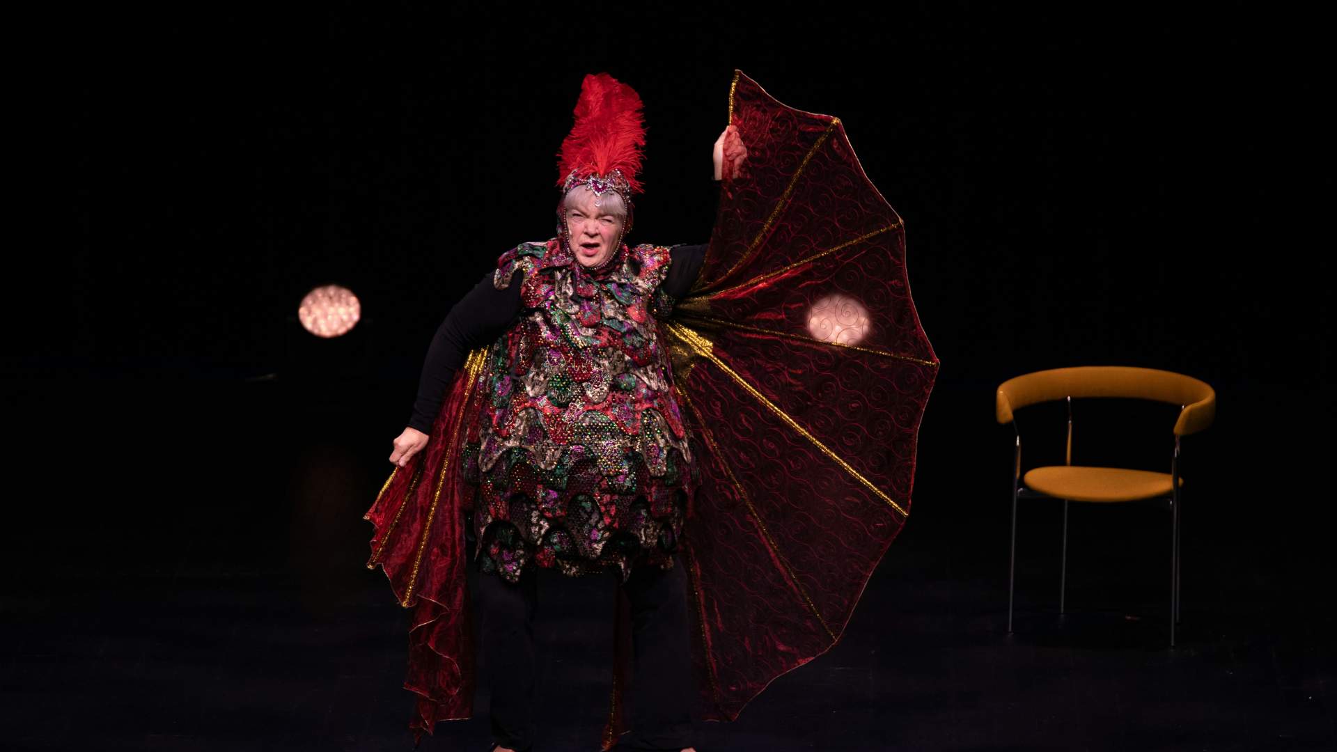 Alle fugler med Anne Marit Jacobsen