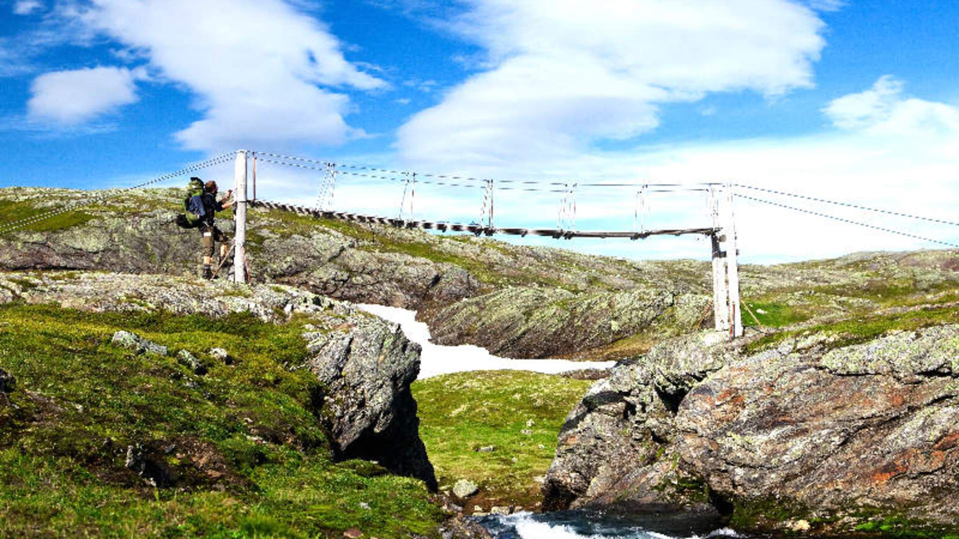 Hardangervidda sommer