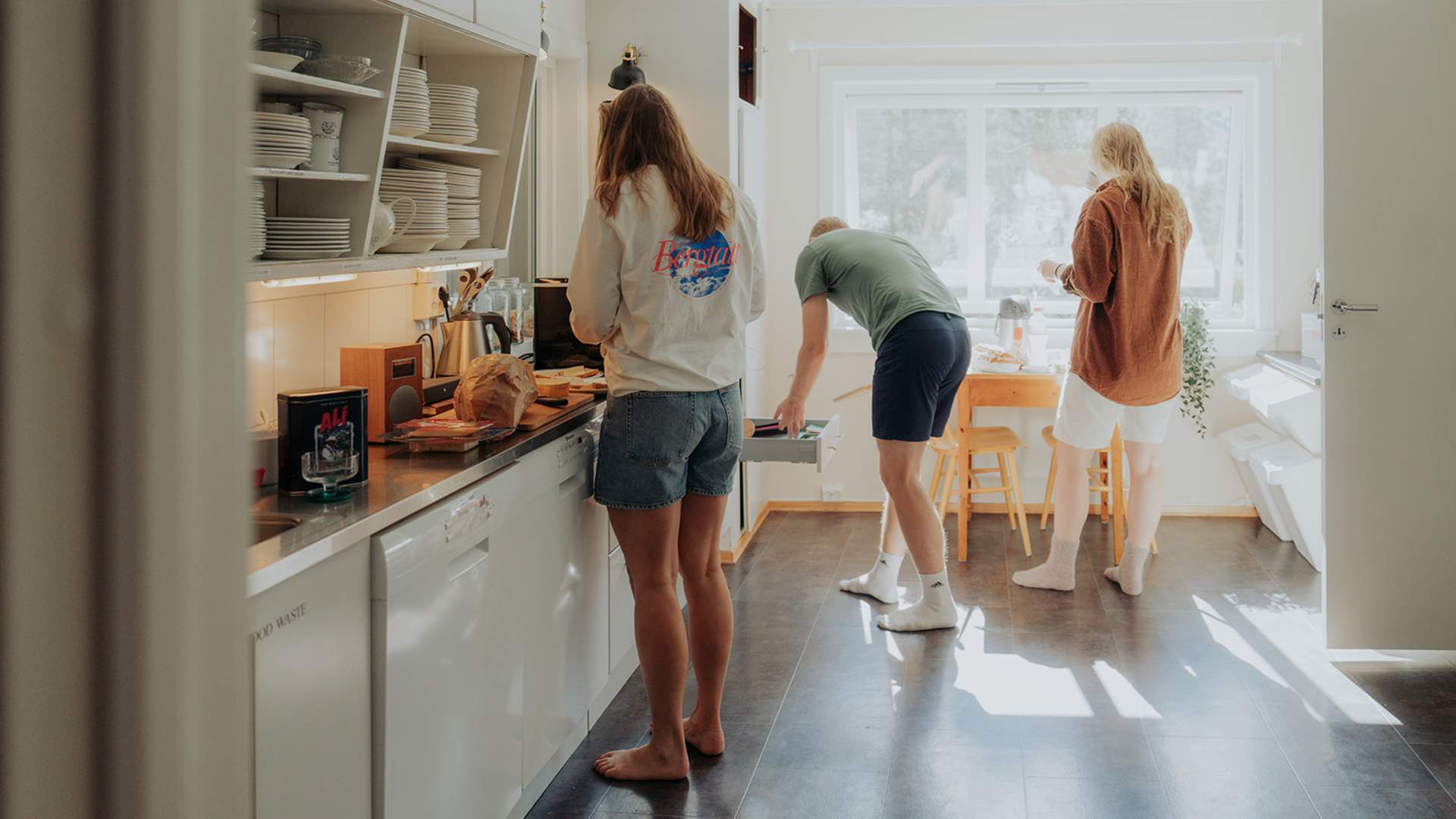 Villa Fjellheim, Jostedal