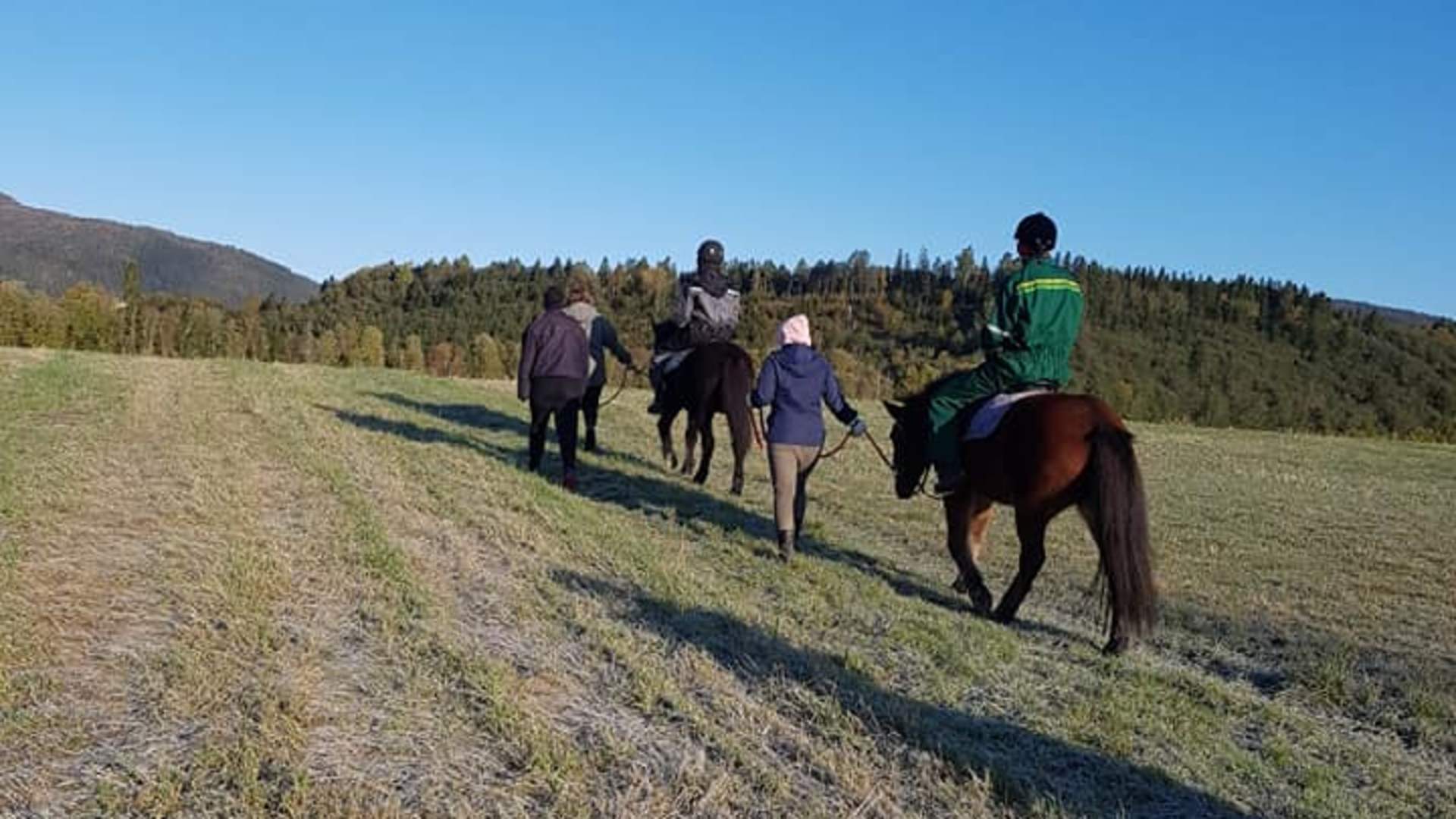 Hest på Jørum3