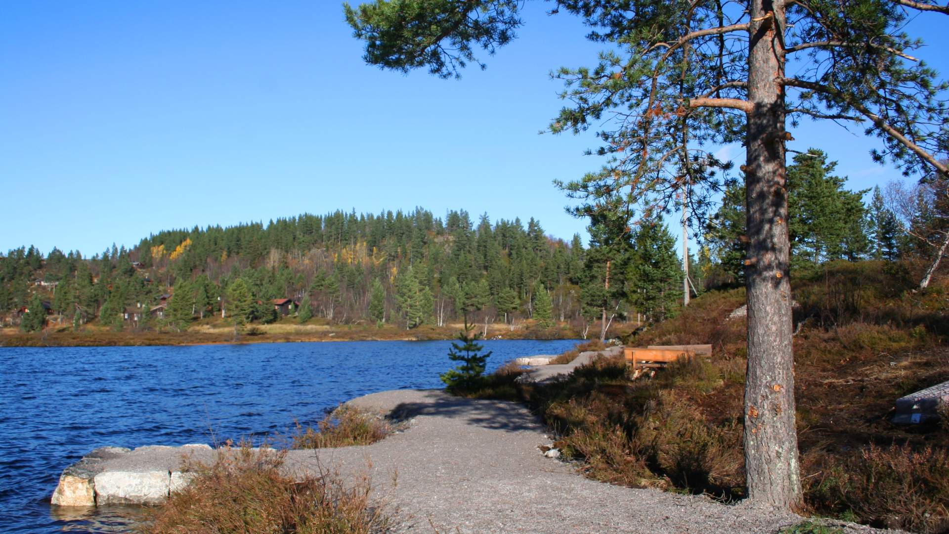 Fiskeplass - Rundatjønn