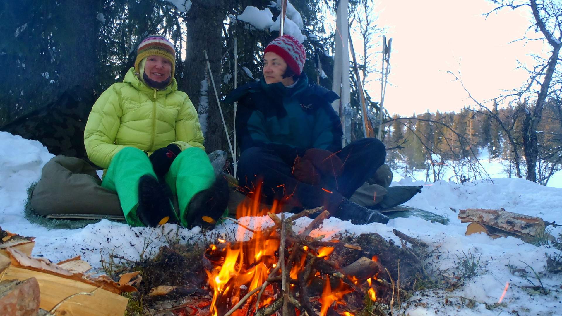 Wilderness Life - vno