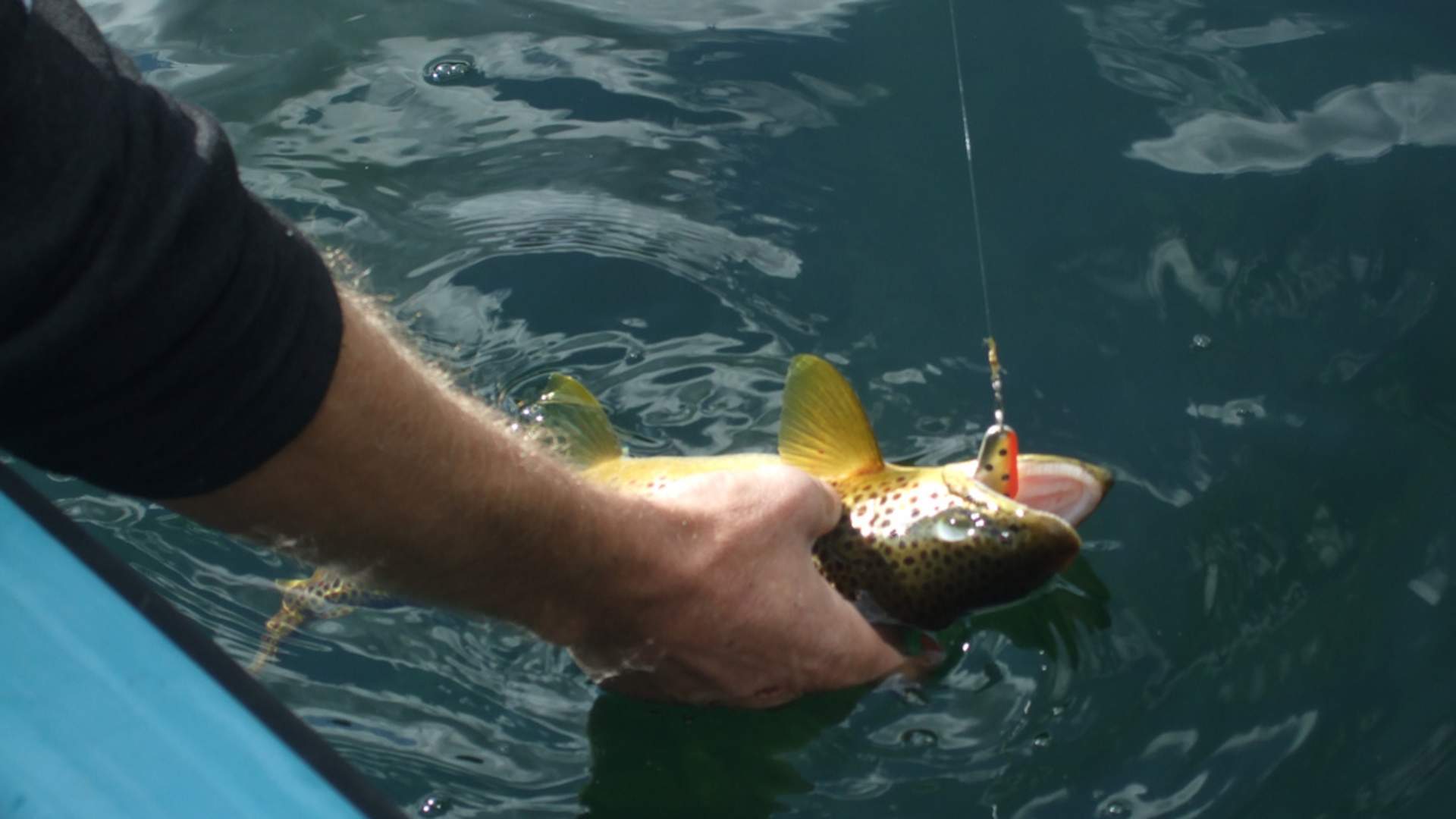 Fishing in Sirdal