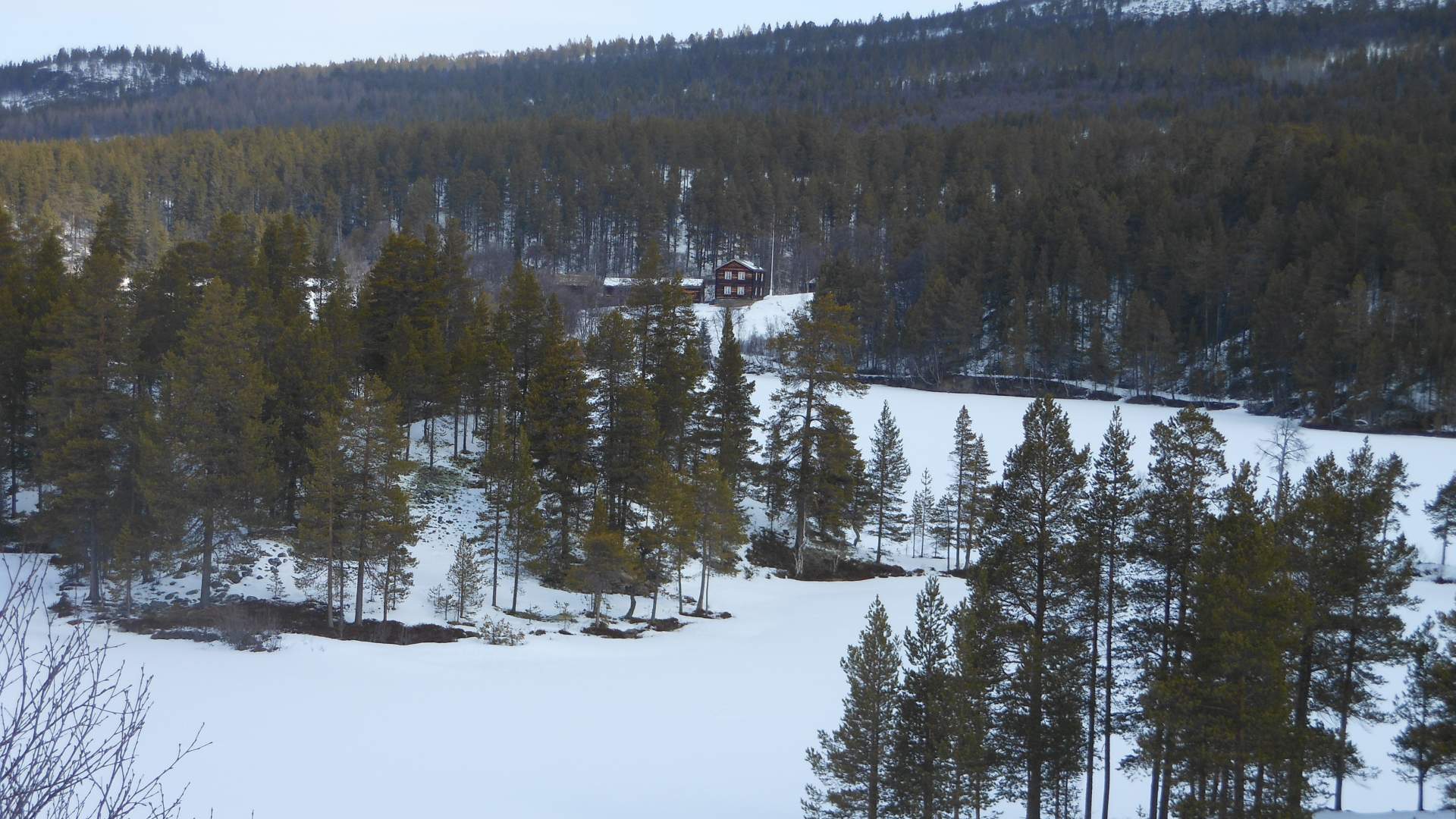 Vinter