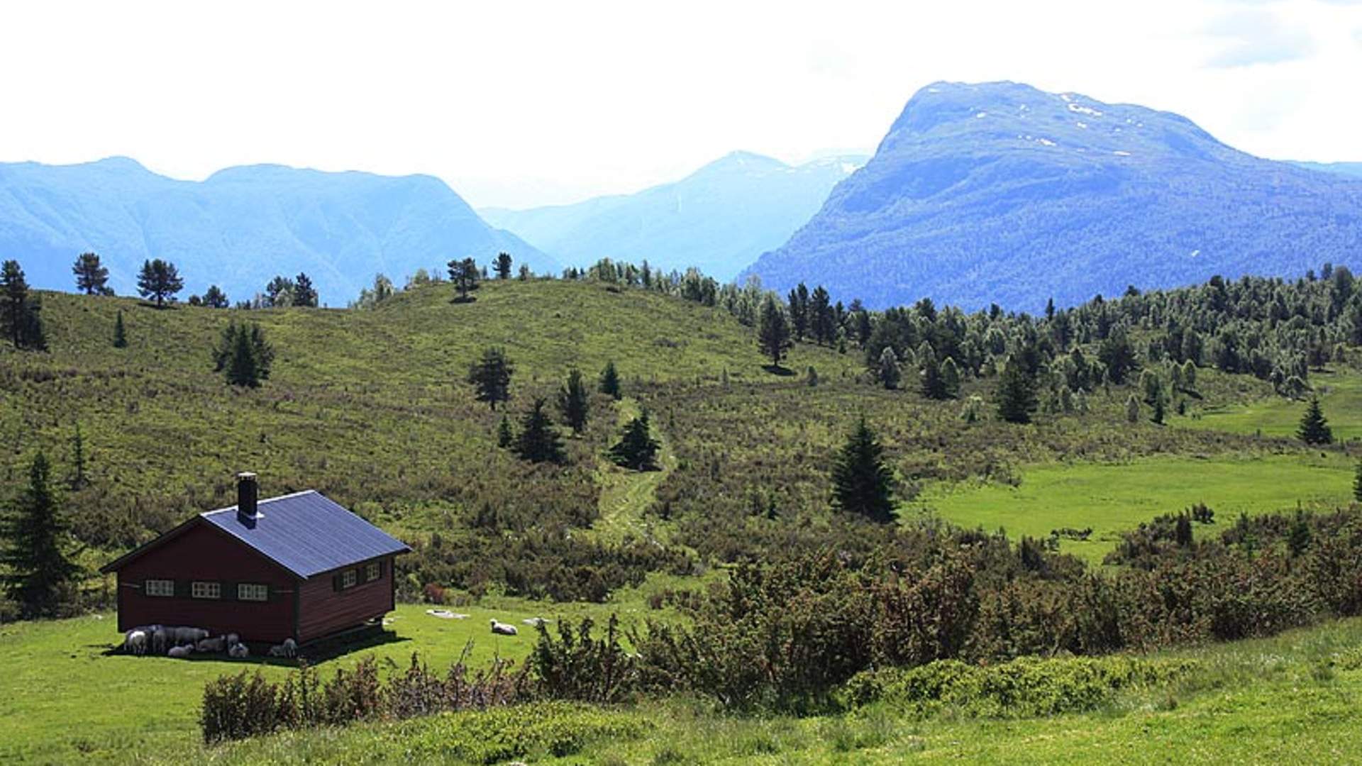 Vandretur -Høyheimsvik - Navarsete