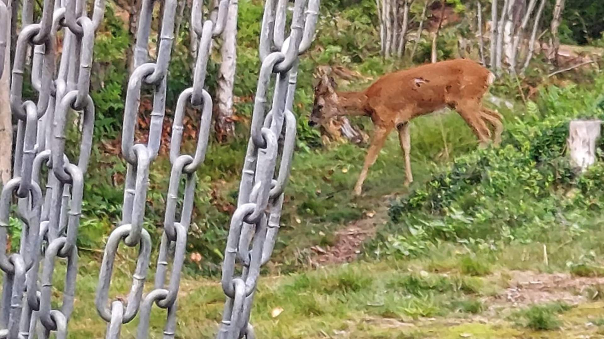FrisbeeGolf - Høytorp Fort Discgolfpark