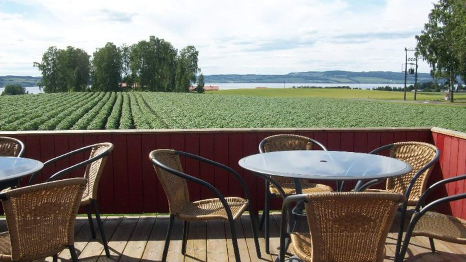 Utsikt mot Mjøsa