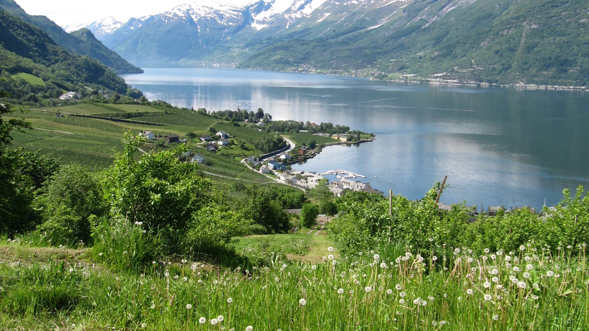 Hovden