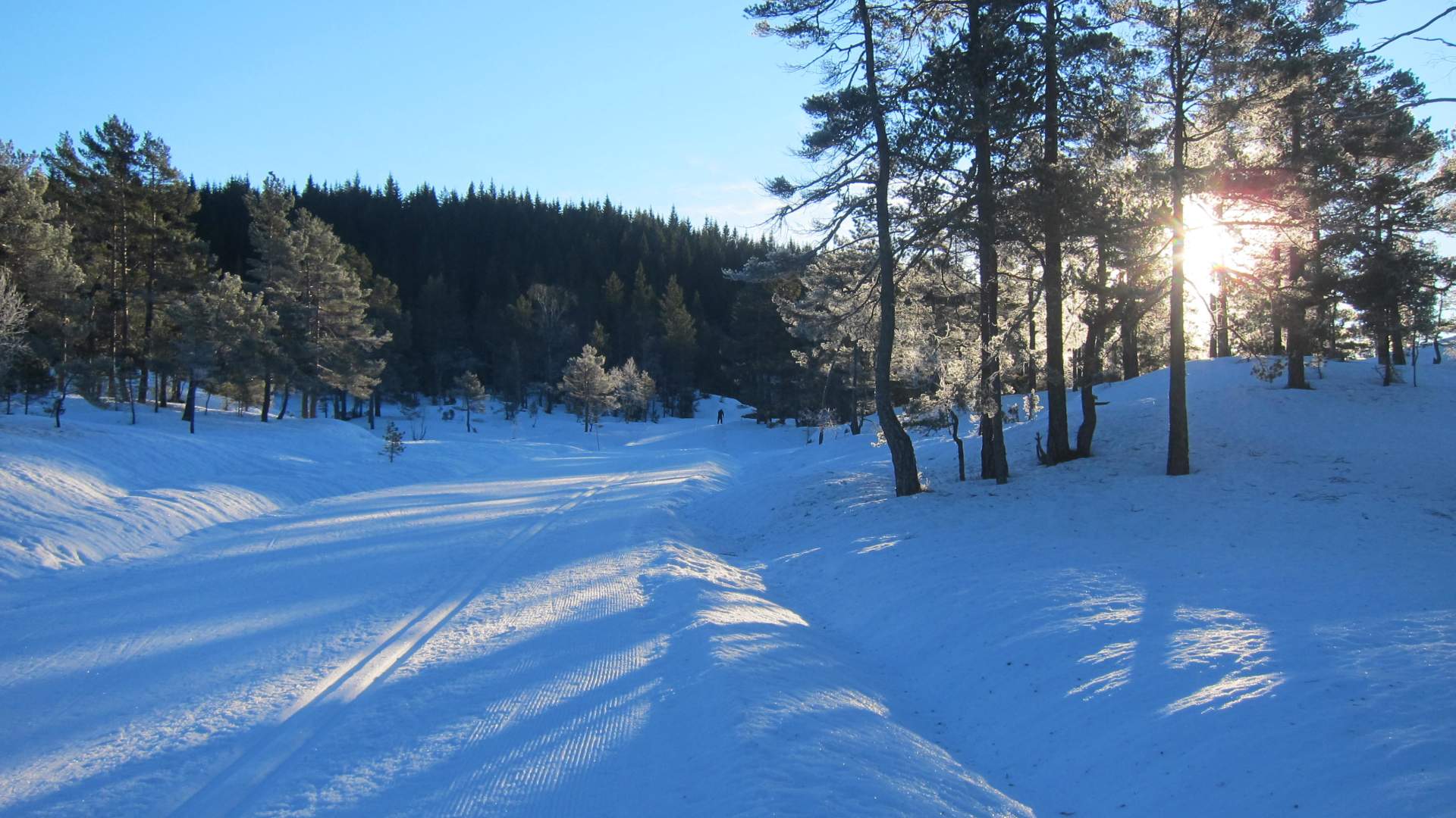 Ut på tur på Øynaheia aldri sur
