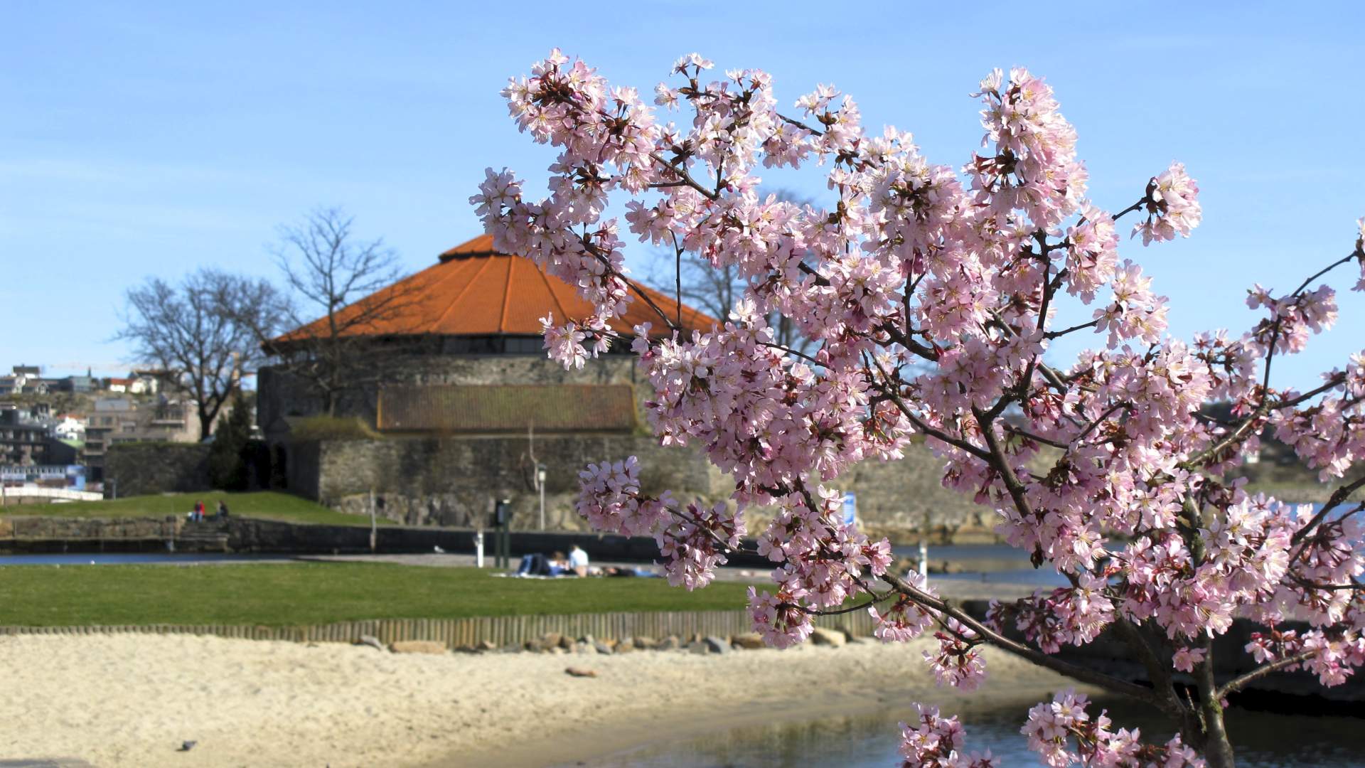 Festningen med blomster