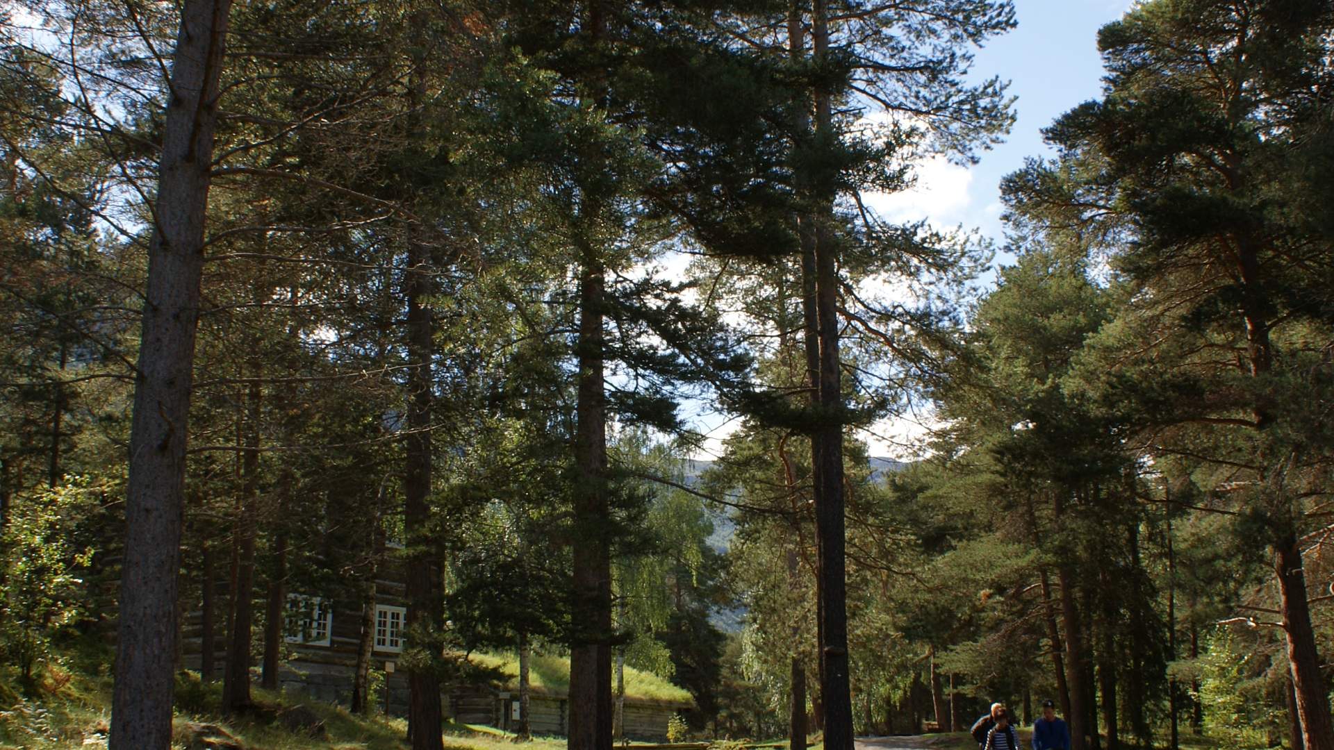parkomåret
