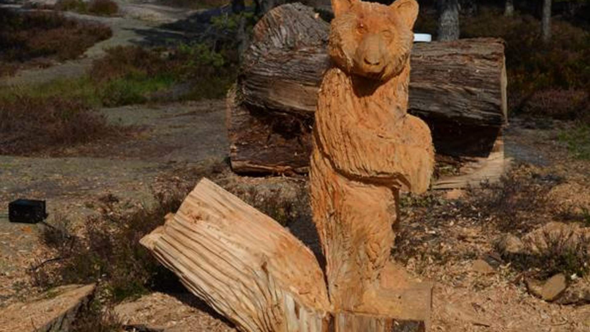 Bjørneløypa i Fredrikstad