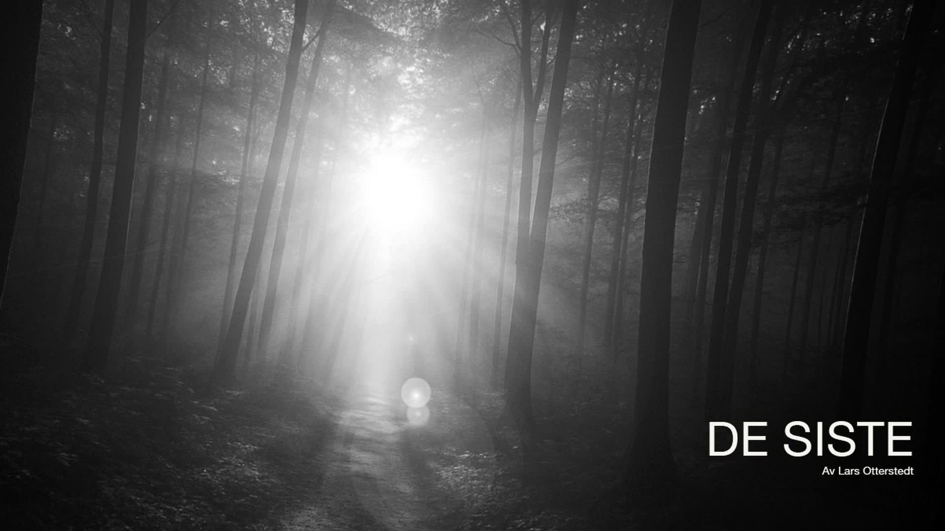 De Siste - Teater Manu