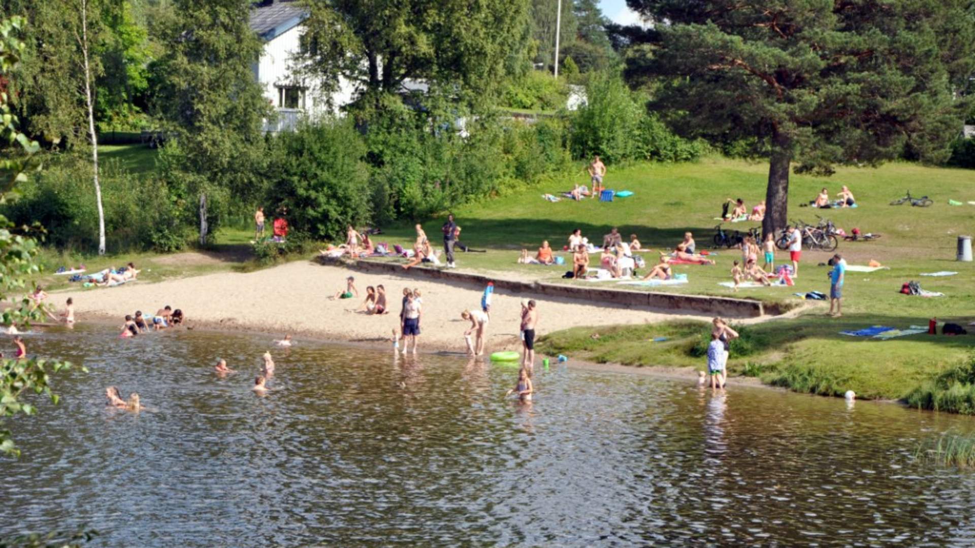 Sagtjernet 2