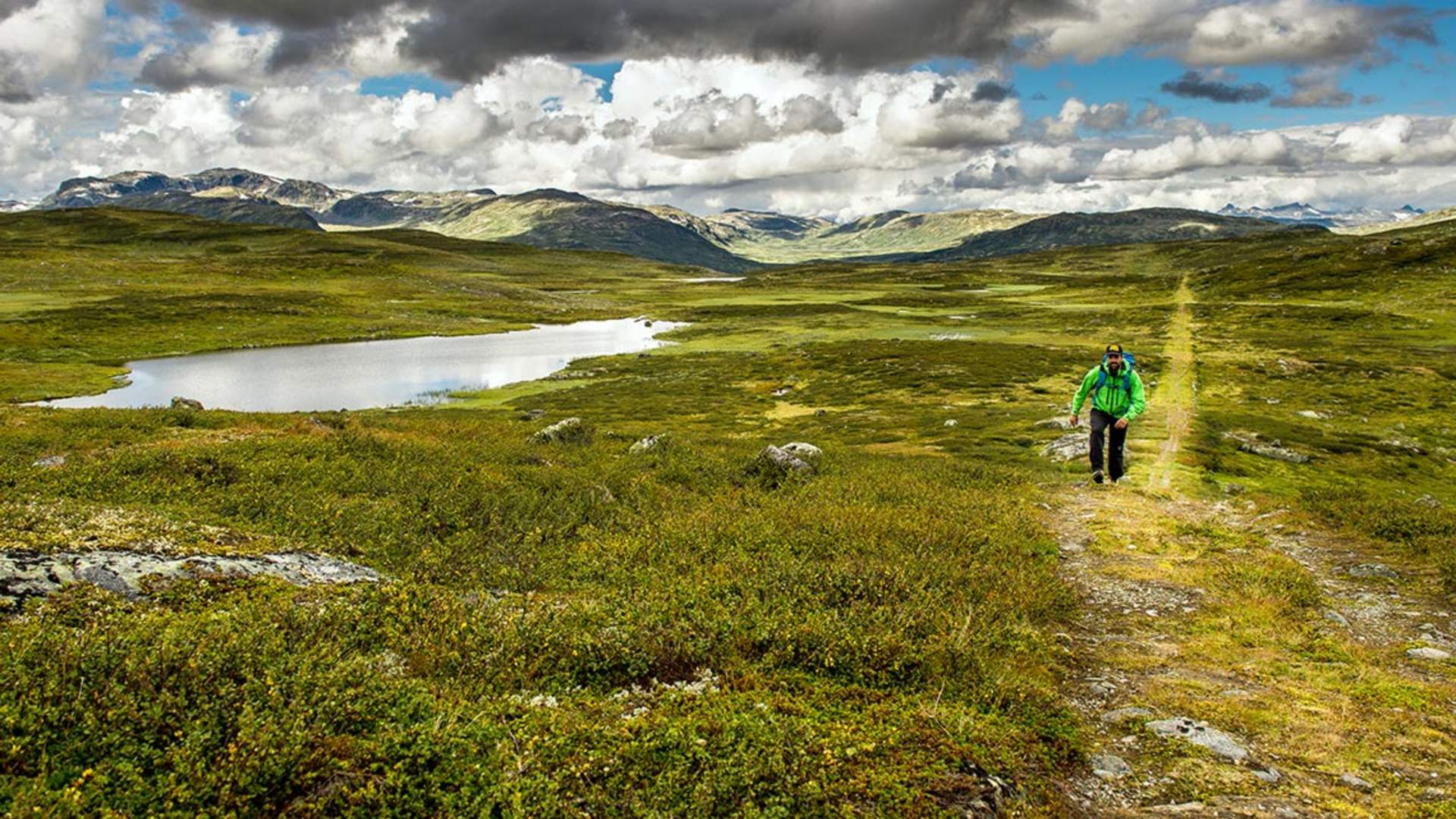 Kongevegen over Filefjell