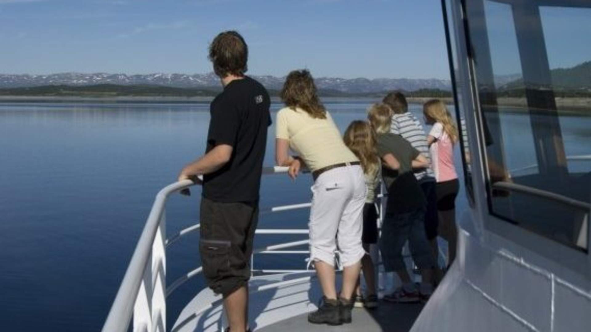 Fjellvåken ved rekka