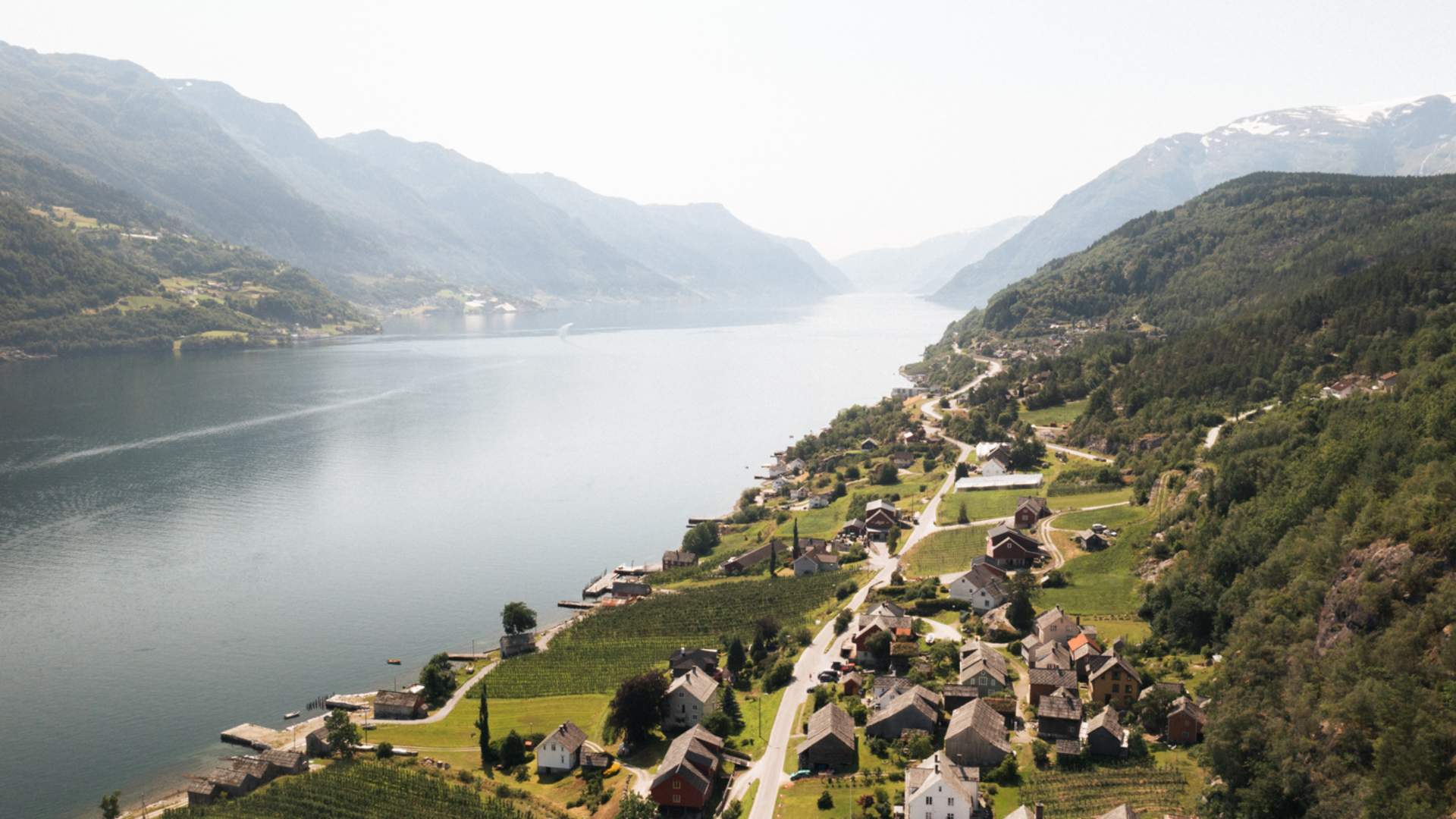 Agatun x Yrjan Olsnes-0218