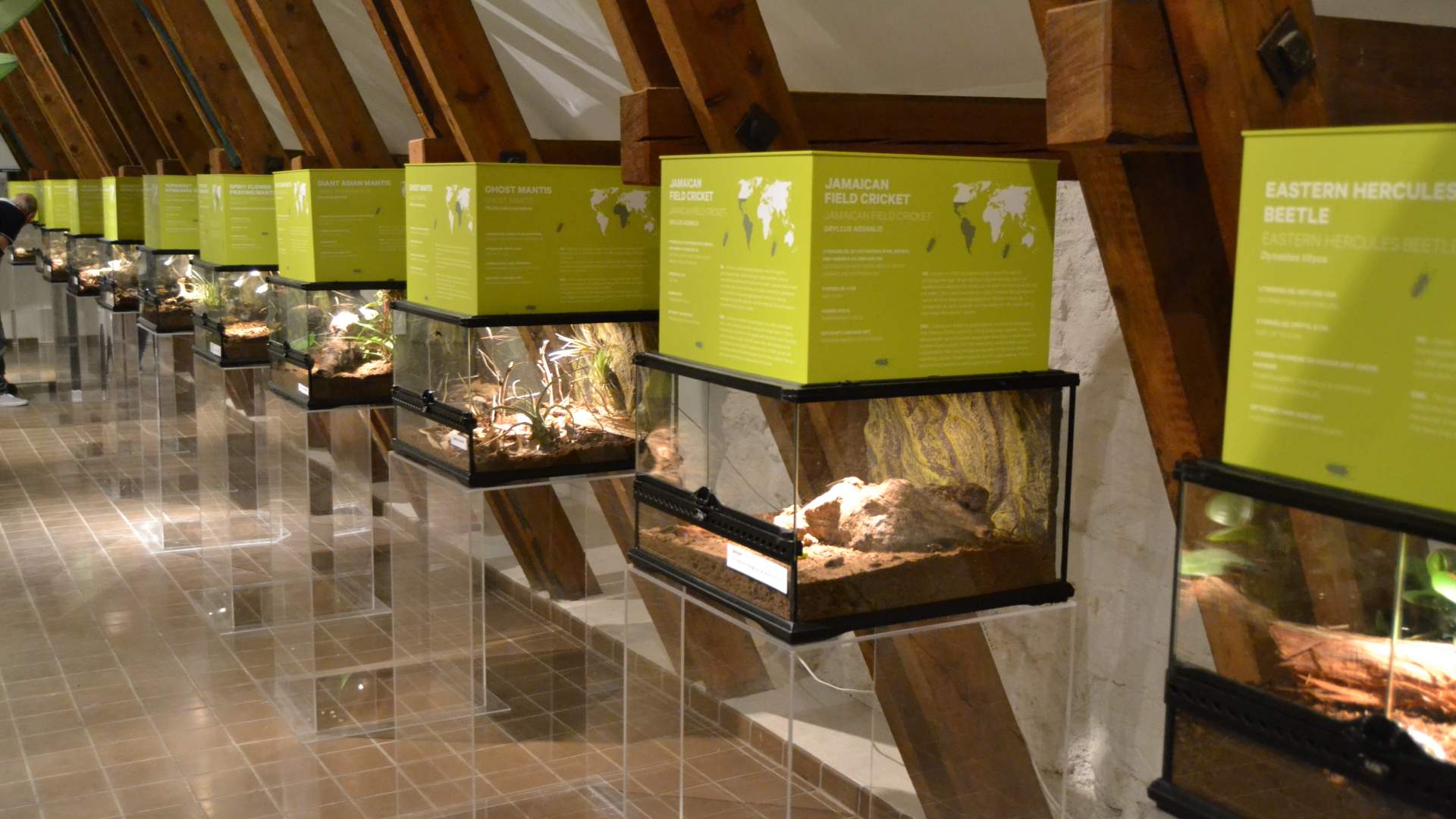 Naturmuseum og botanisk hage, Universitetet i Agder