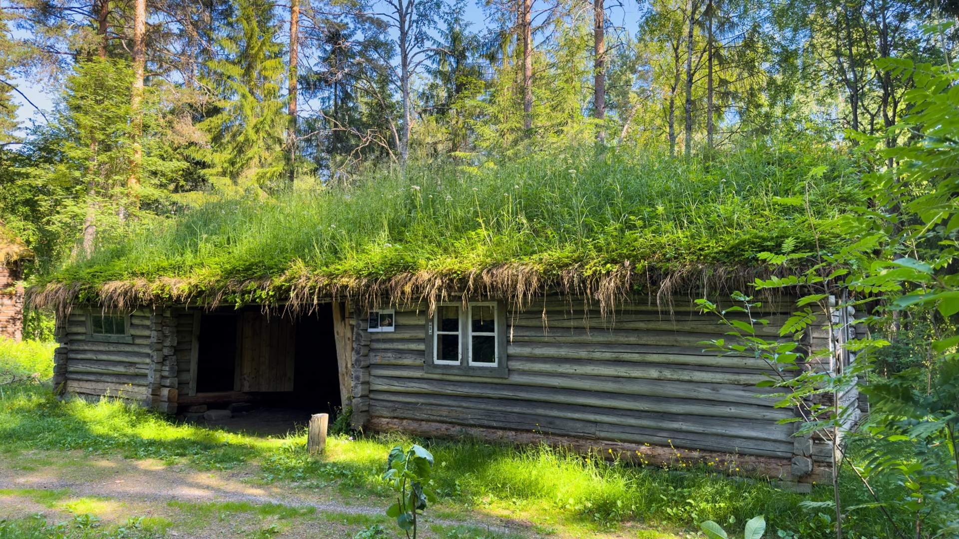 Bangdalskoia på Prestøya i Glomma
