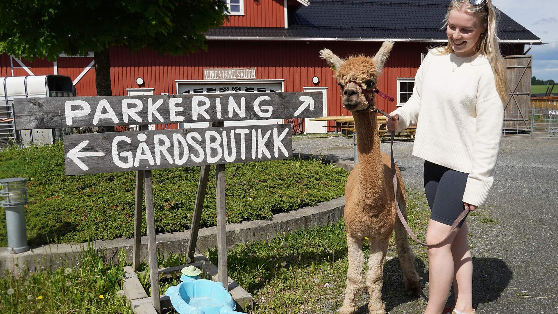 Alpaca farm at Sørum_Christine Baglo - Visit Norway