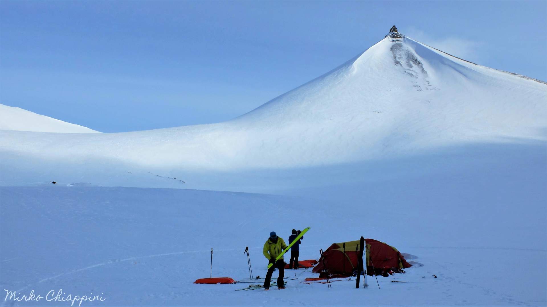 Arctic expedition Svalbard Wildlife