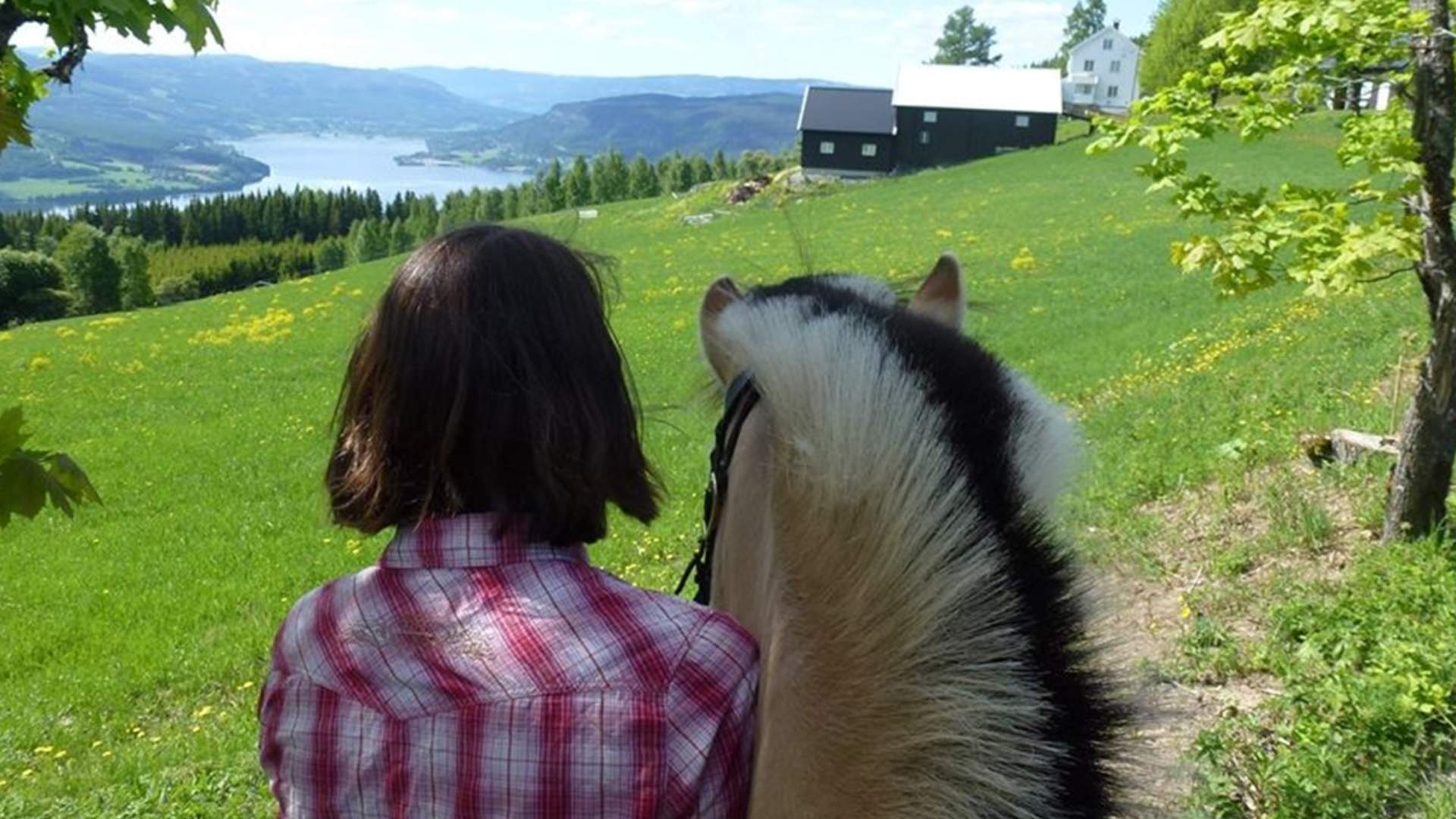 Ridevegen i Søndre Land