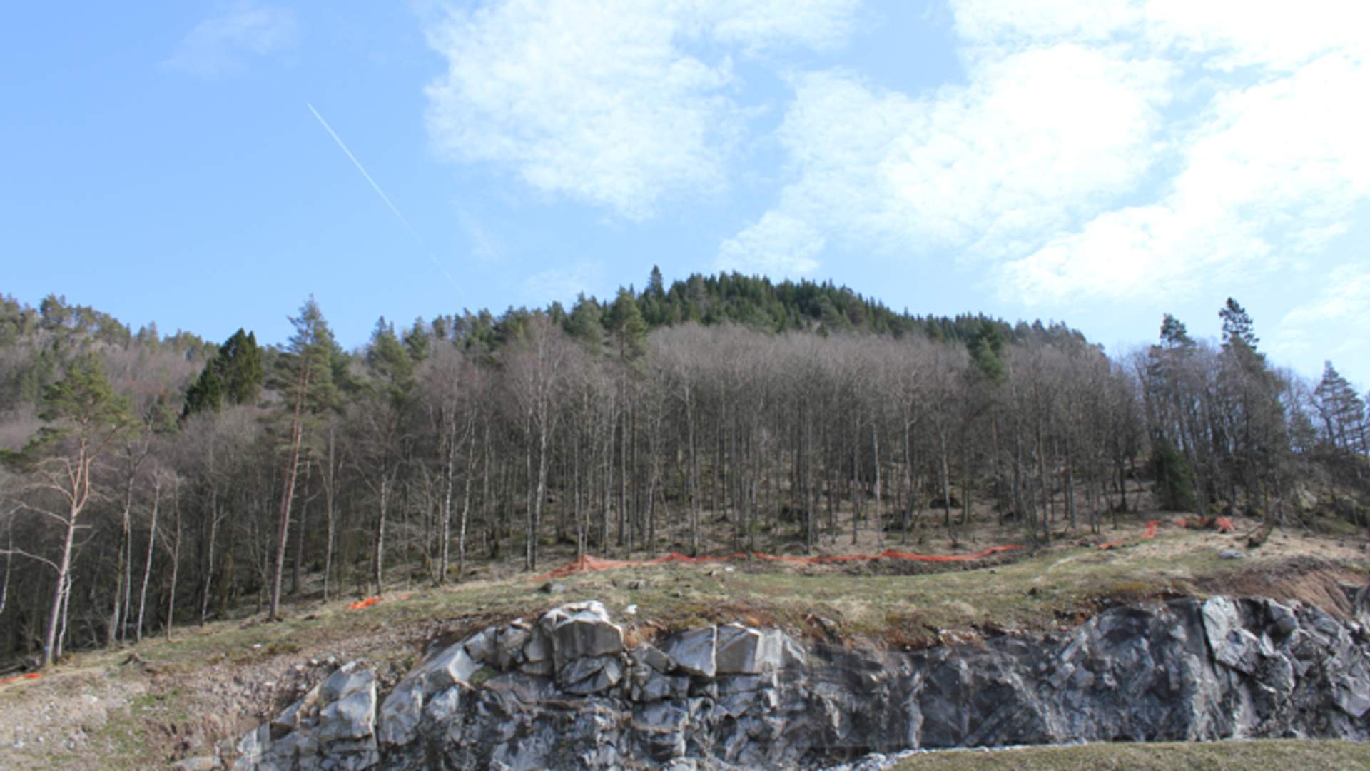 Ørneknipen