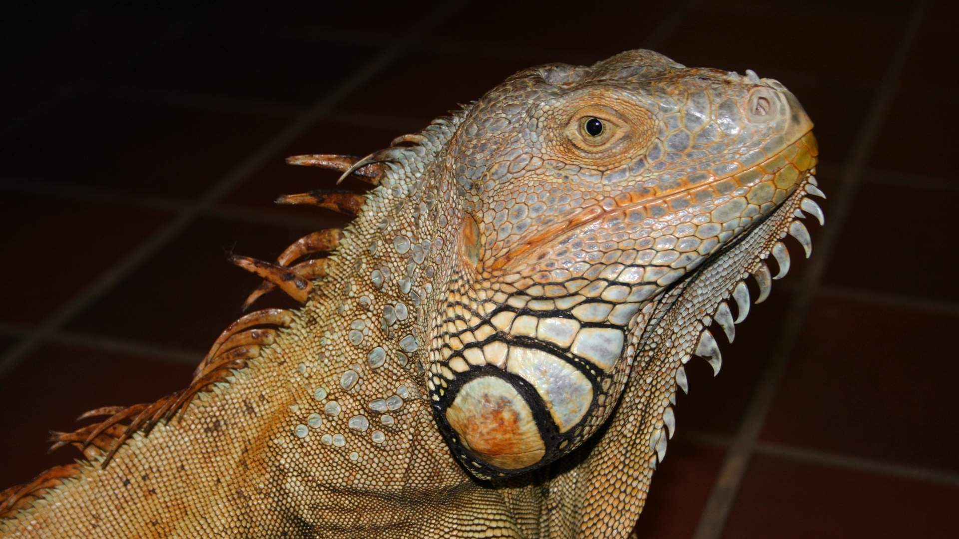Oslo Reptilpark 5