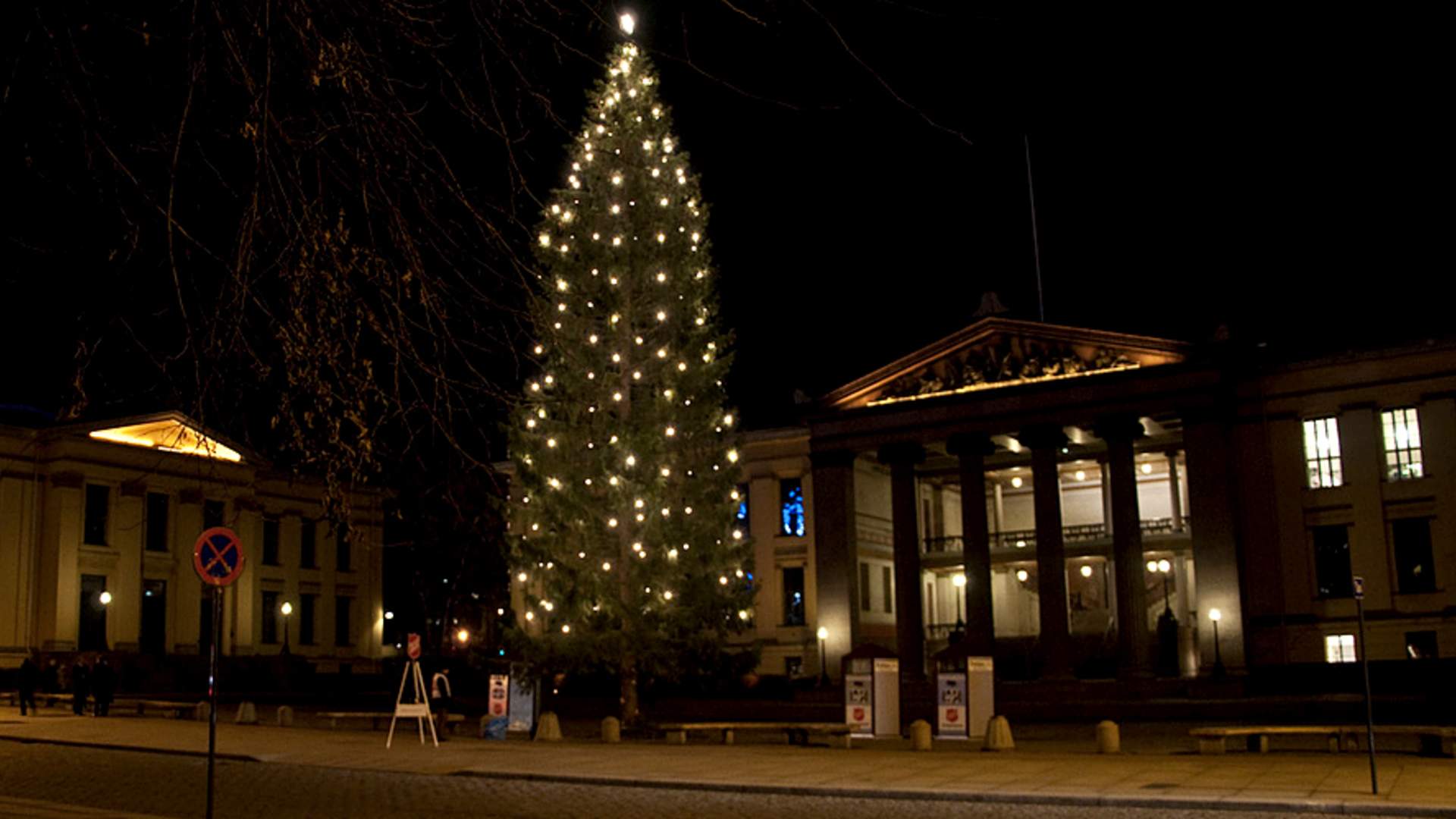 Lighting of the Christmas tree