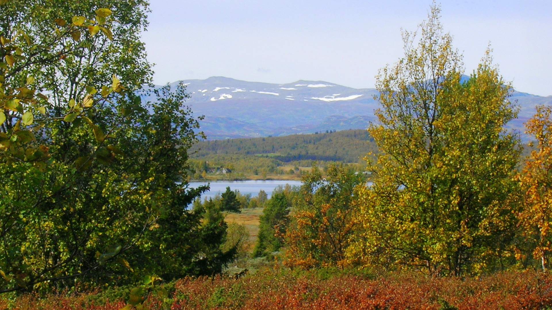 Høst på Torpoåsen