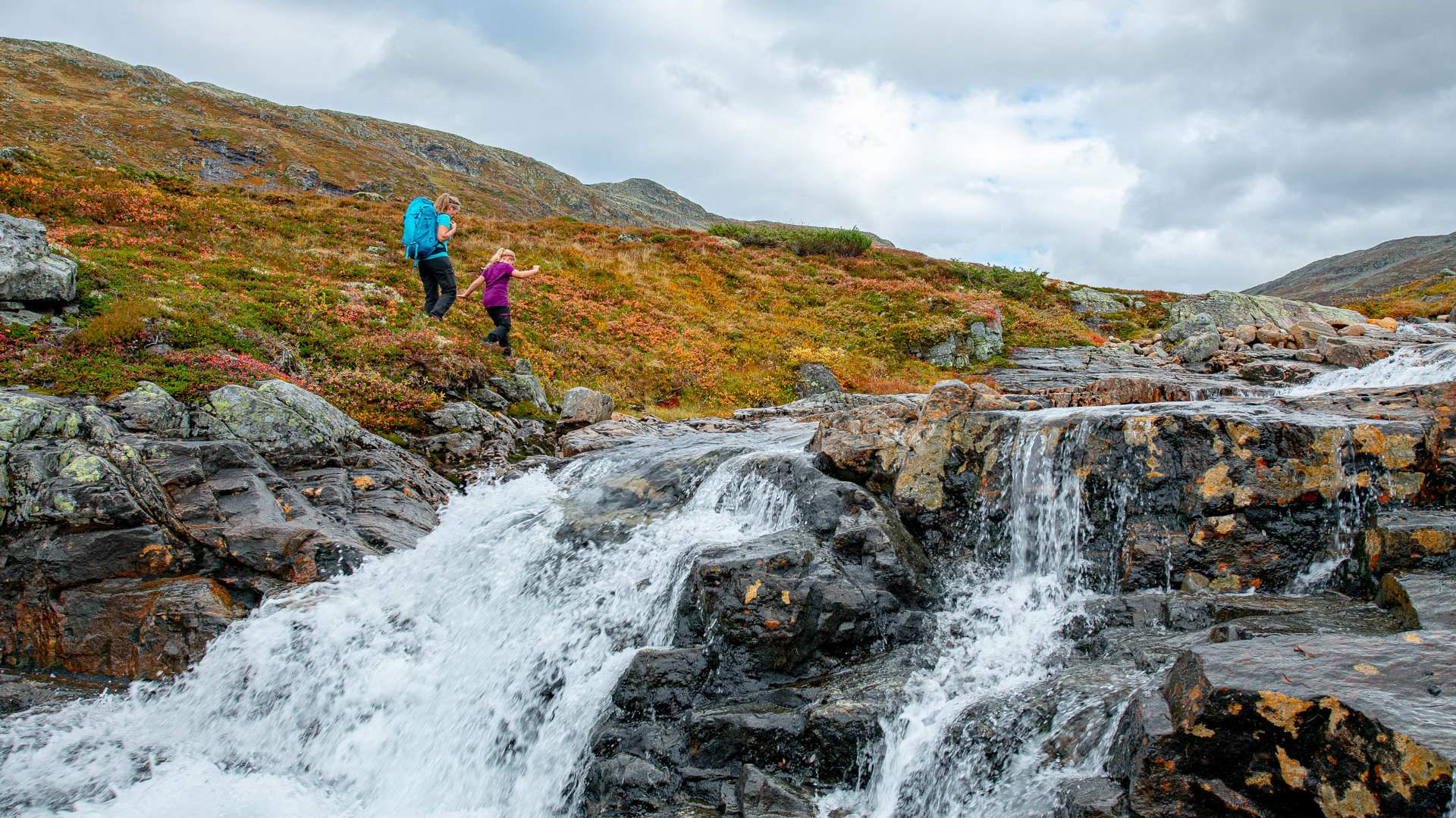 Bakkanosi UNESCO Nærøyfjord