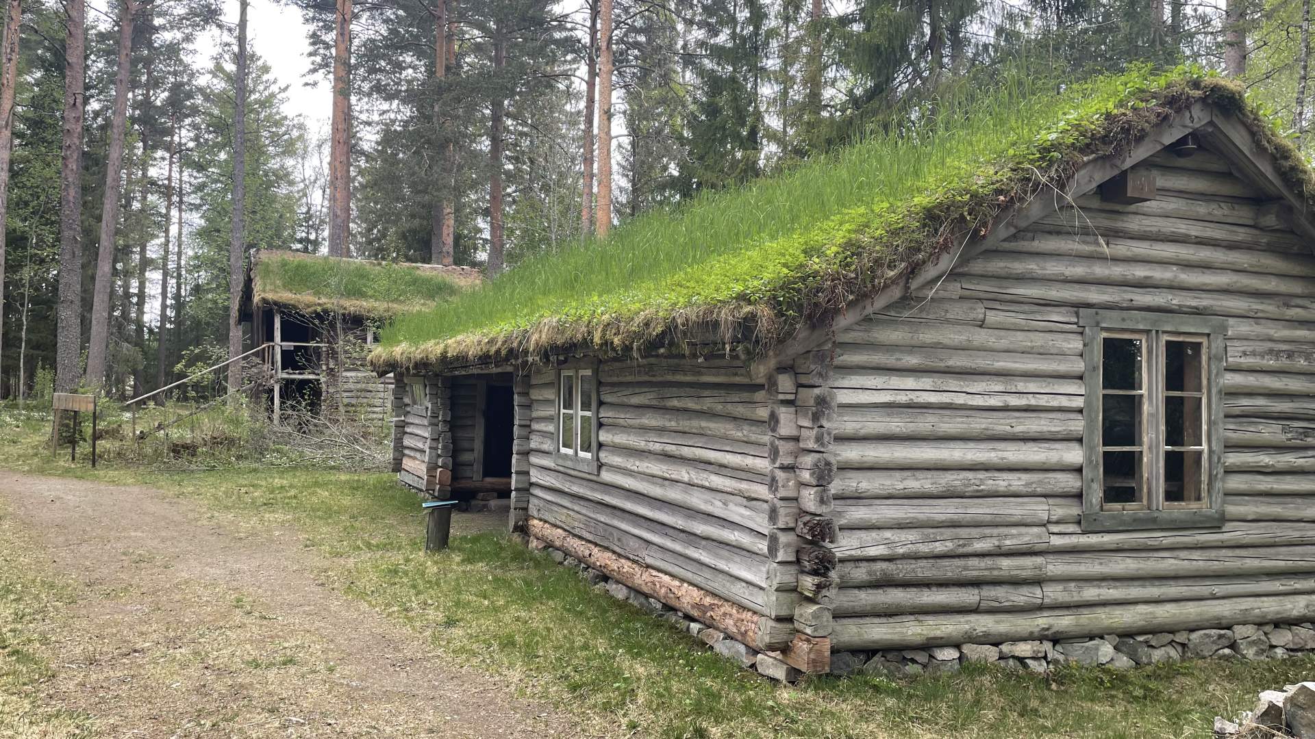 Bangdalskoia på Prestøya i Glomma