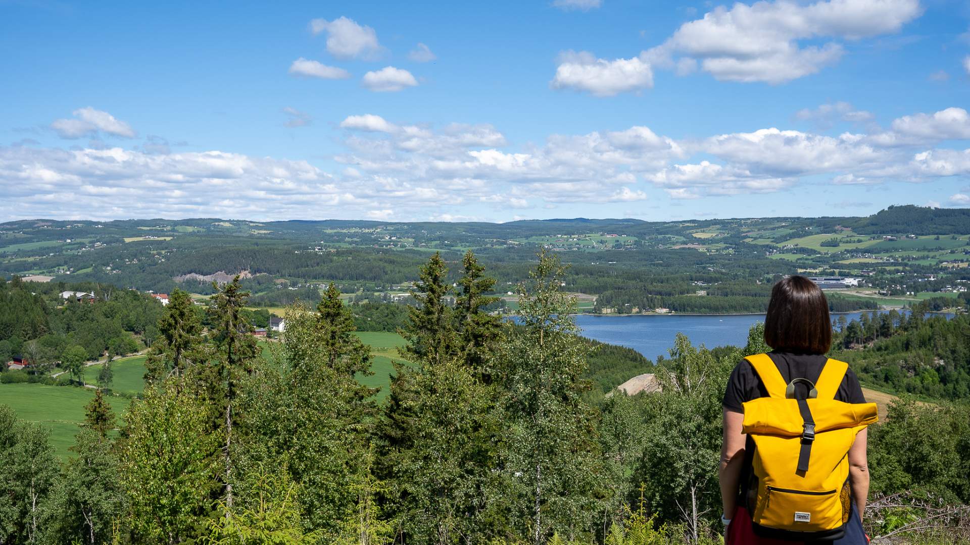 Bangsberget Ringsaker Sommer 2022 Foto RolandsBoss (5)