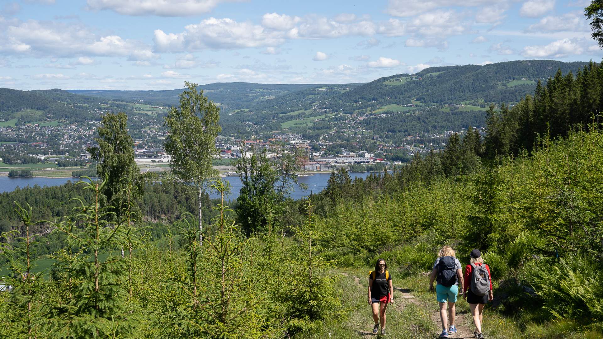 Bangsberget Ringsaker Sommer 2022 Foto RolandsBoss (8)