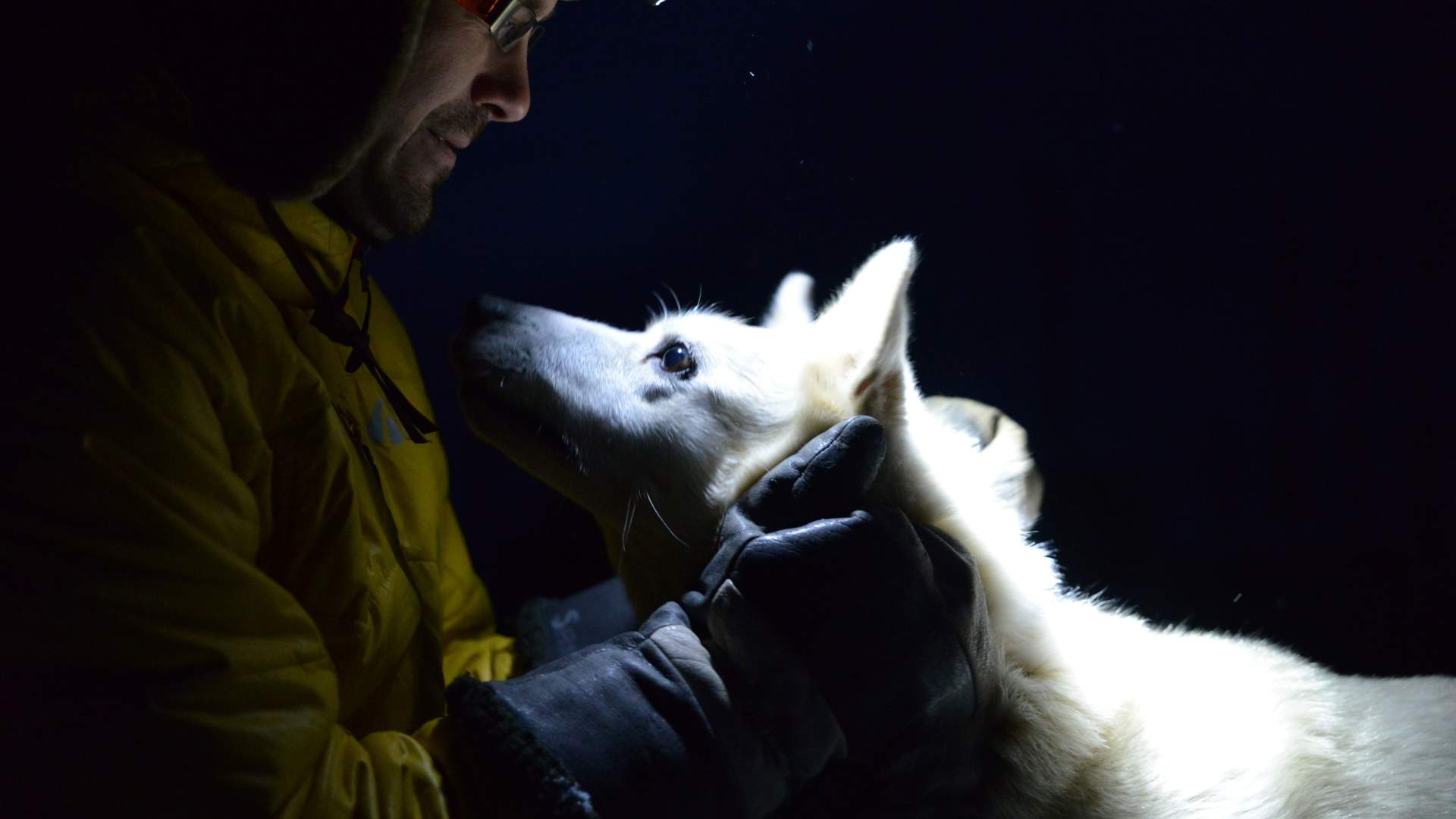 Basecamp Spitsbergen - Polar NIght - Dogsledding 62