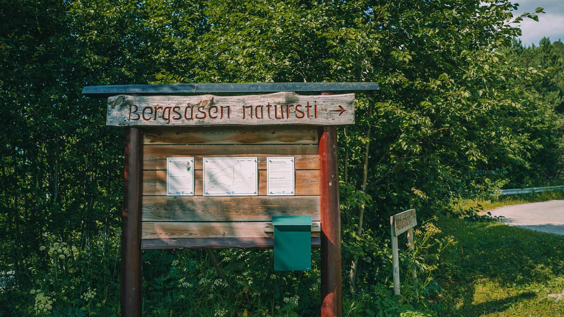 Bergåsen_Natursti_Snåsa_@dinarindsem (1 av 10)