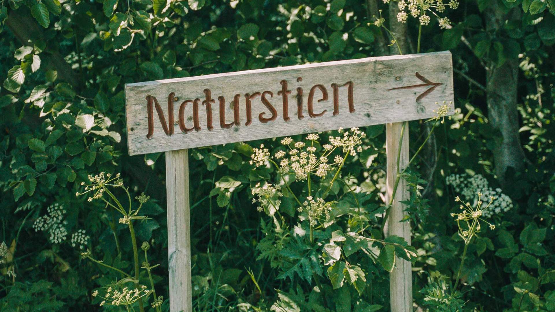 Bergåsen_Natursti_Snåsa_@dinarindsem (2 av 10)