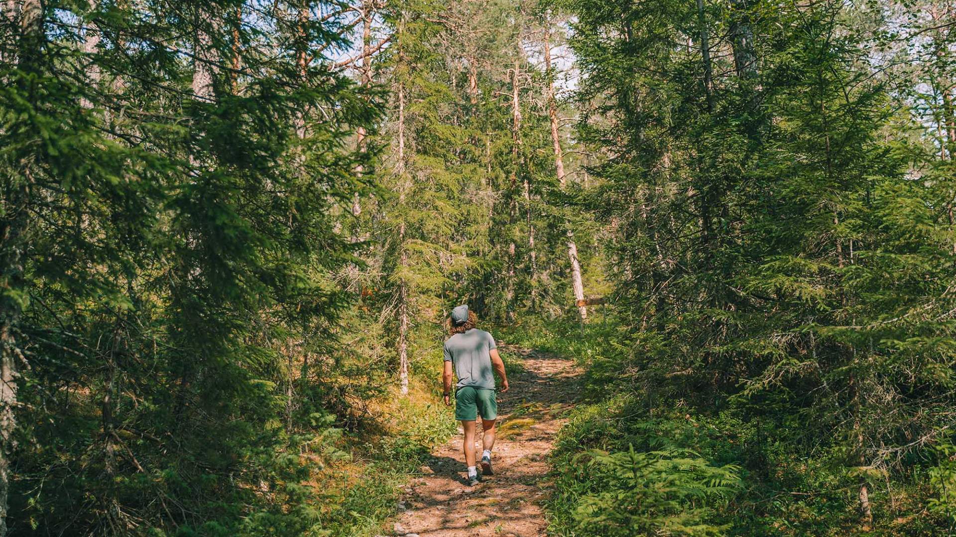 Bergåsen_Natursti_Snåsa_@dinarindsem (6 av 10)