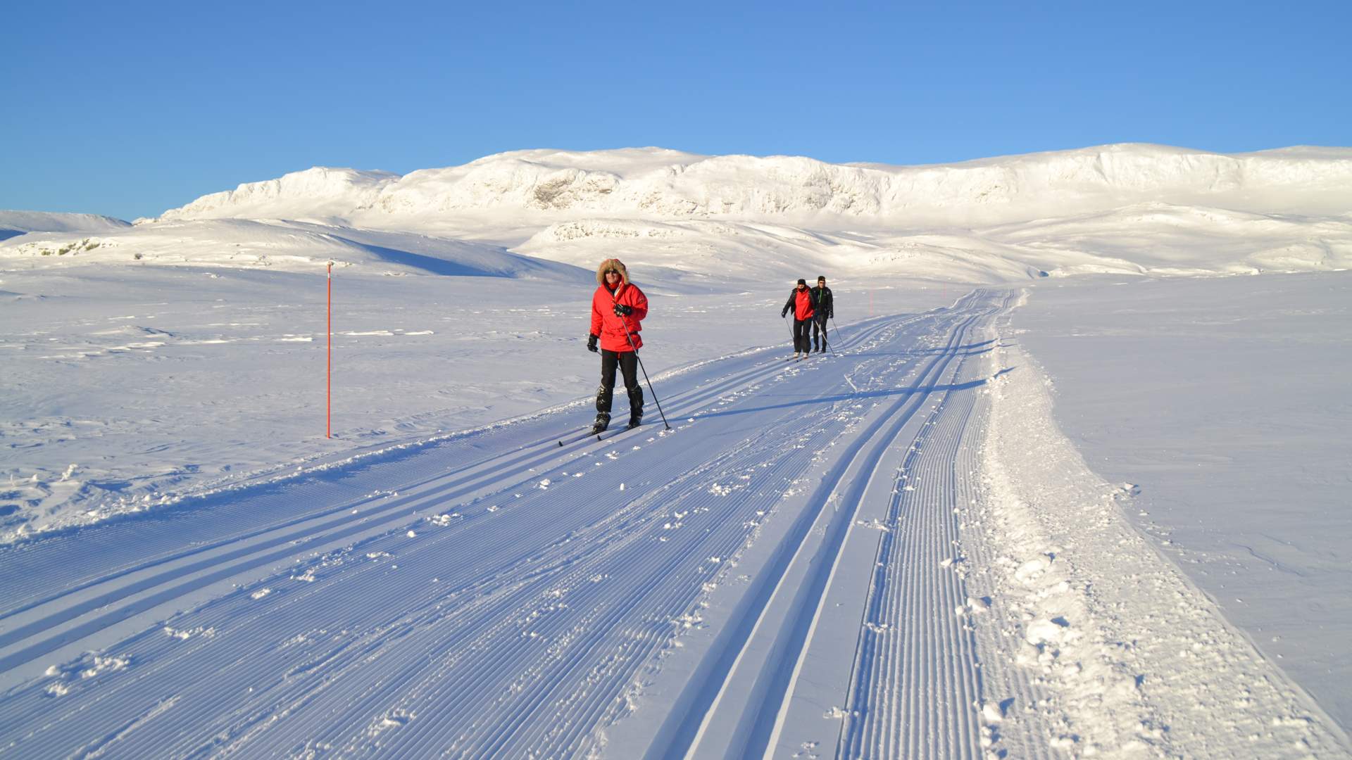 Bergsjøområdet mot Reineskarvet